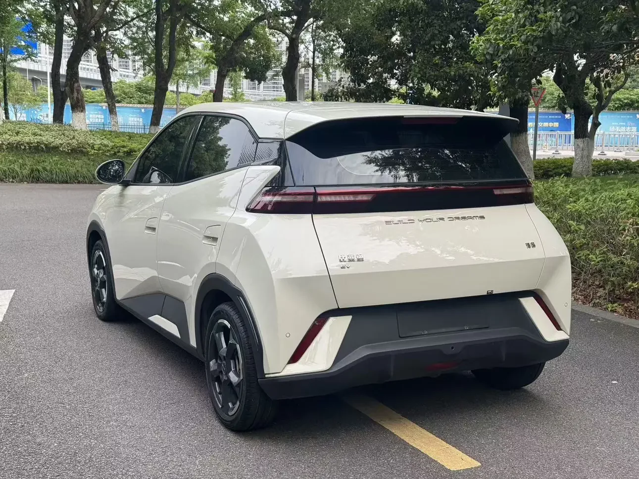 BYD seagull