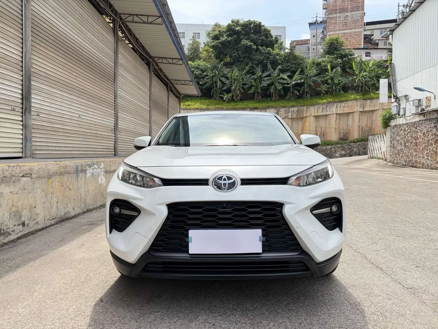 Toyota Willanda
