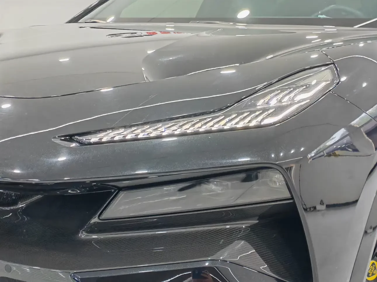 Lotus Eletre