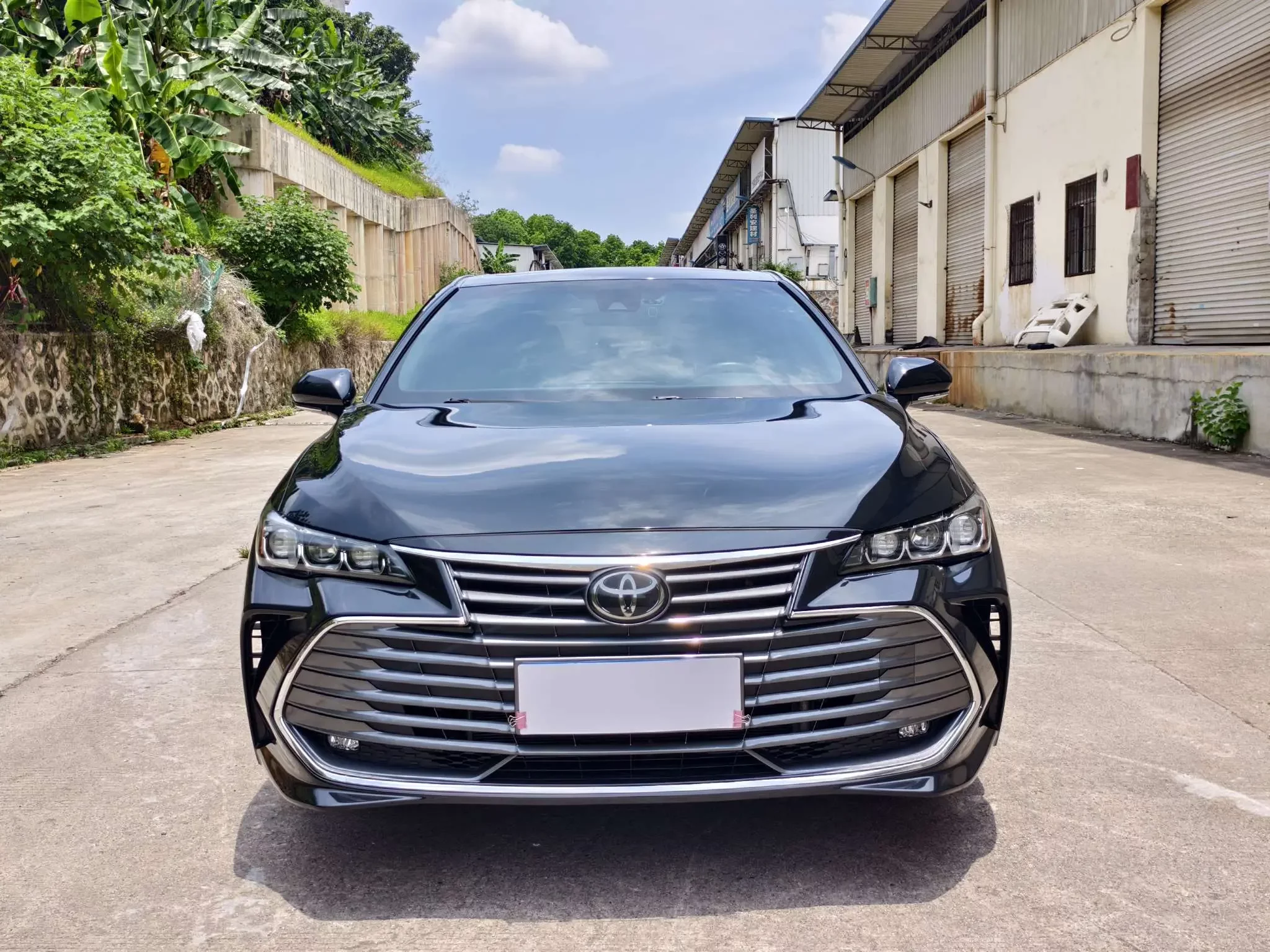 Toyota Avalon