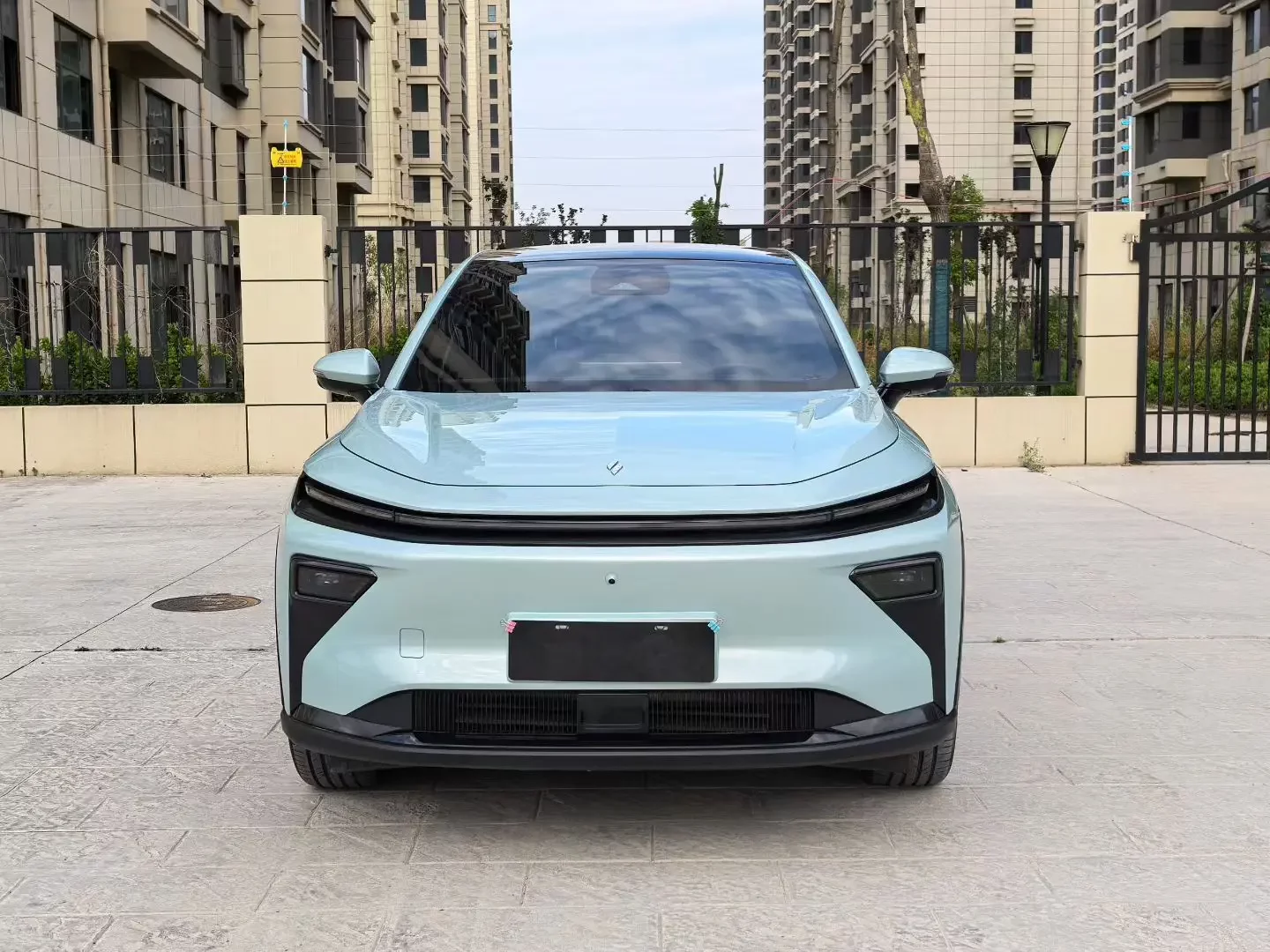 Ruilan Rui Lan 7