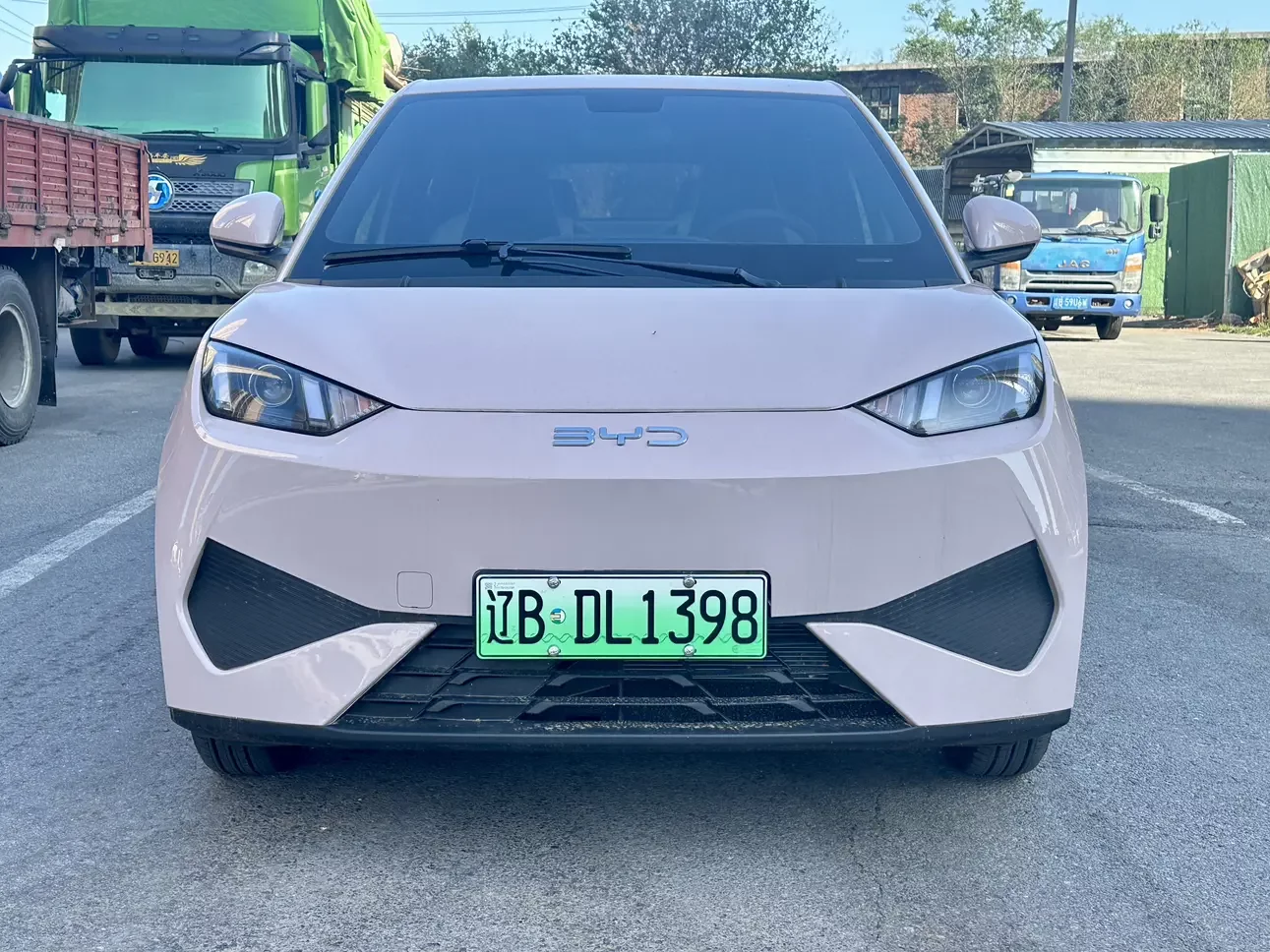 BYD seagull
