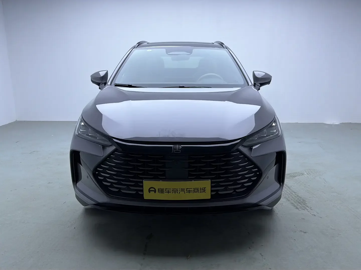 BYD Tang DM