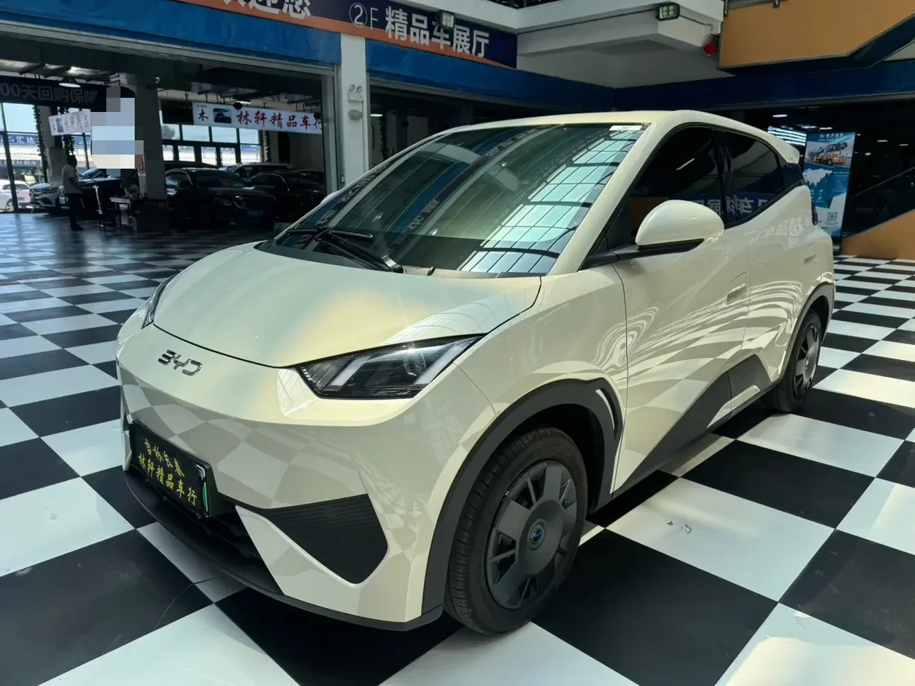 BYD seagull