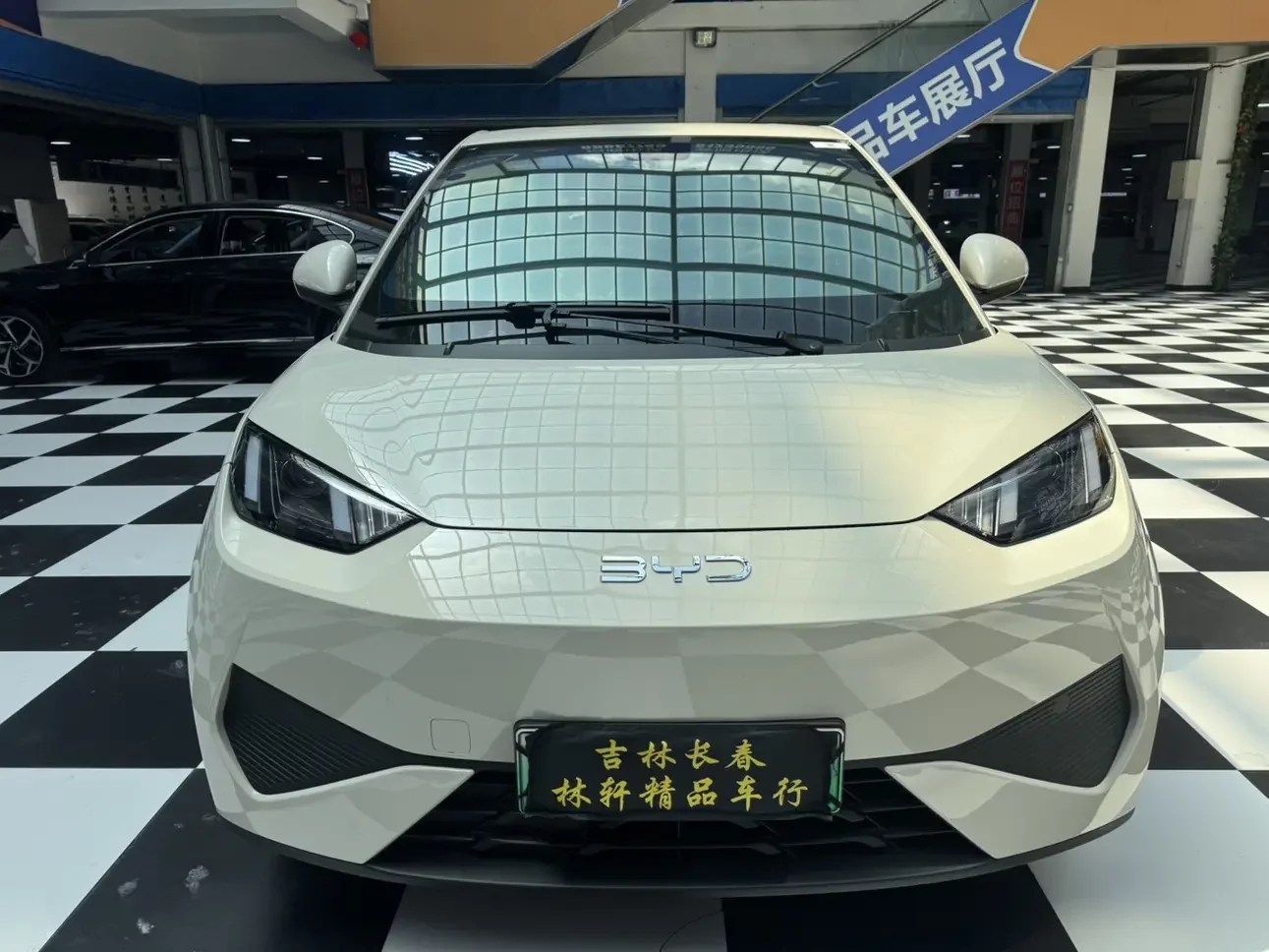 BYD seagull