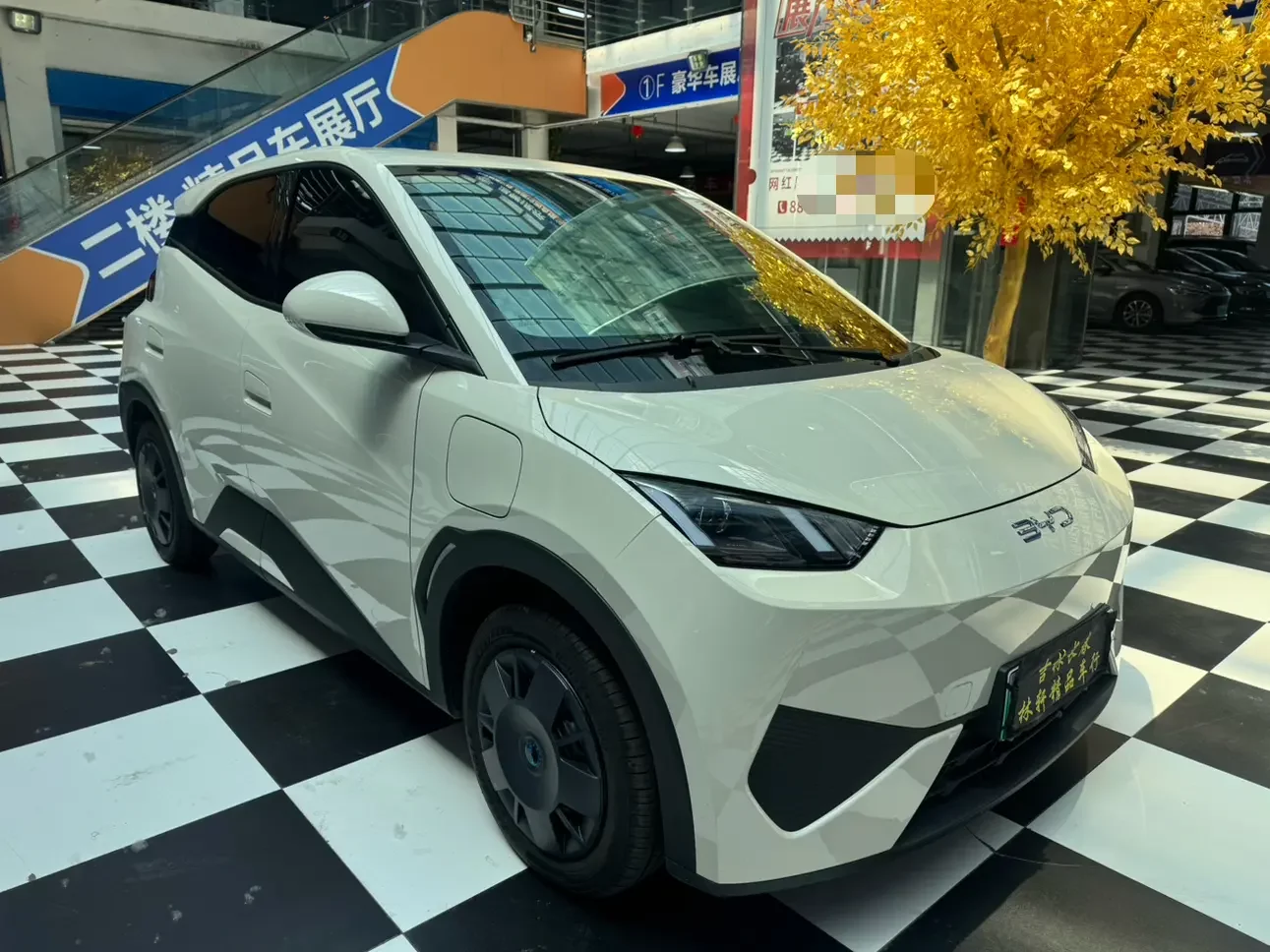 BYD seagull