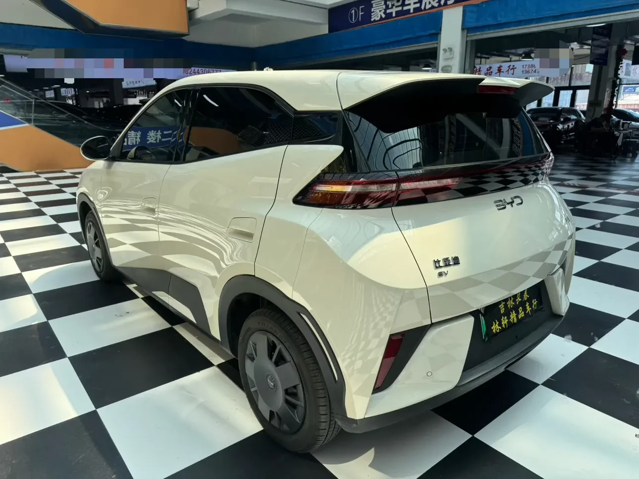 BYD seagull