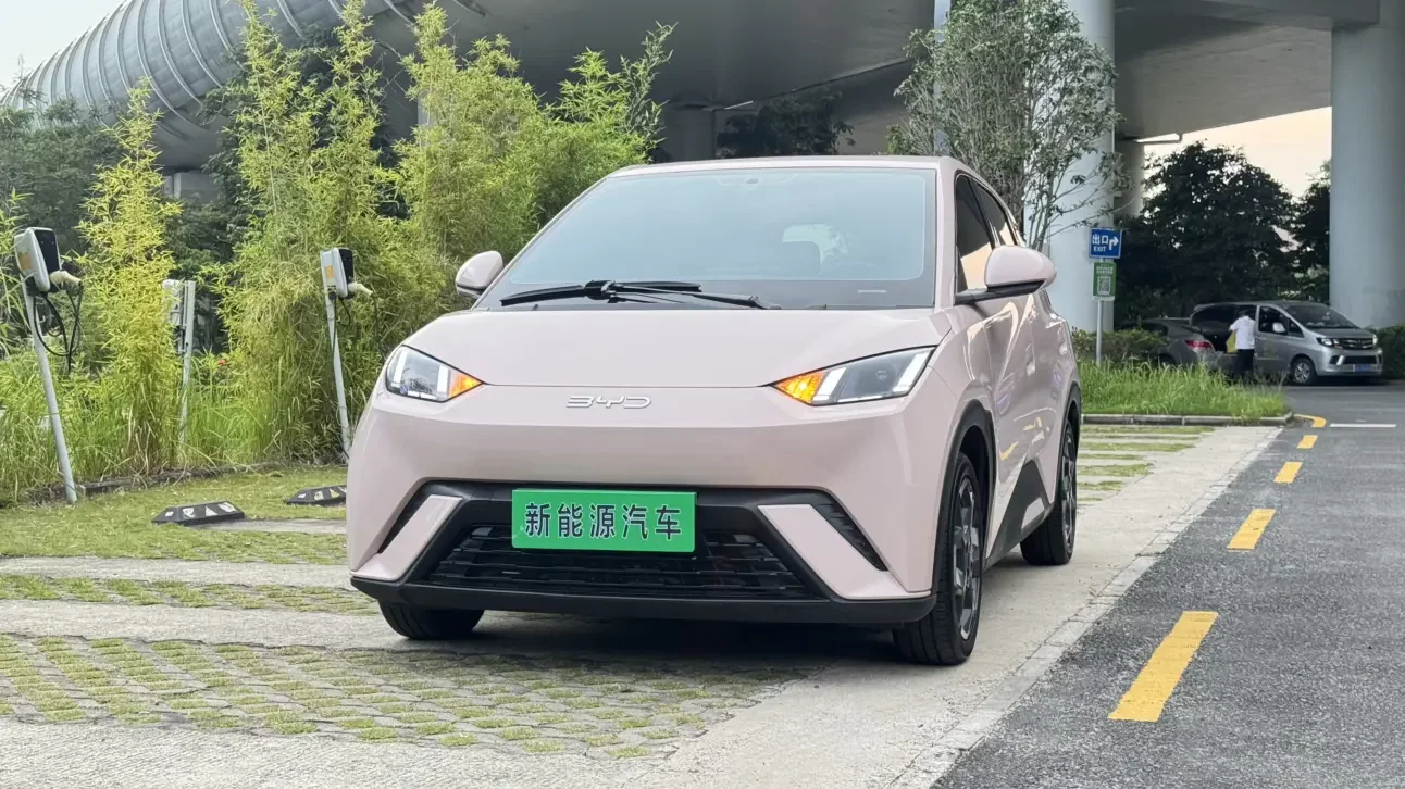 BYD seagull