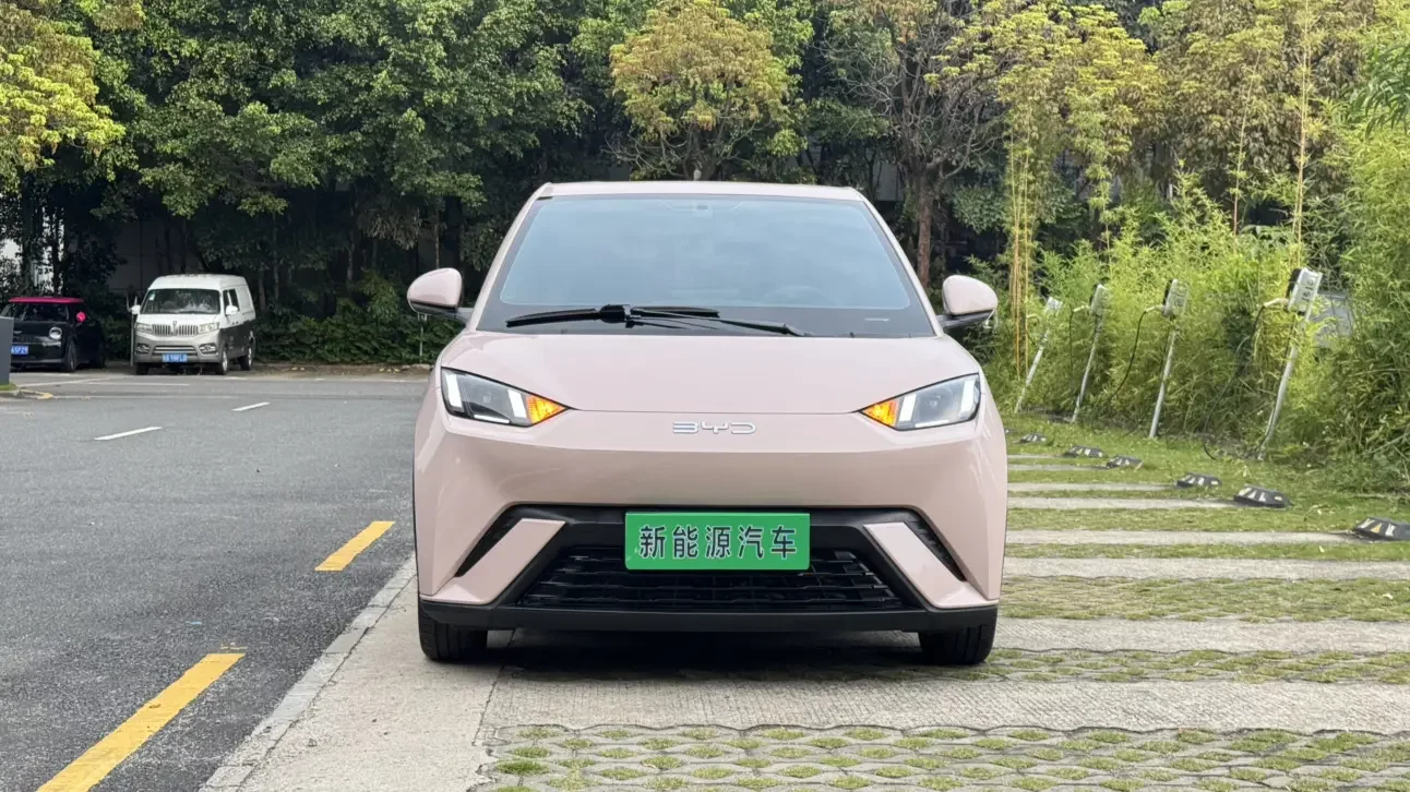 BYD seagull