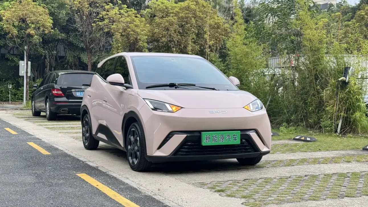 BYD seagull