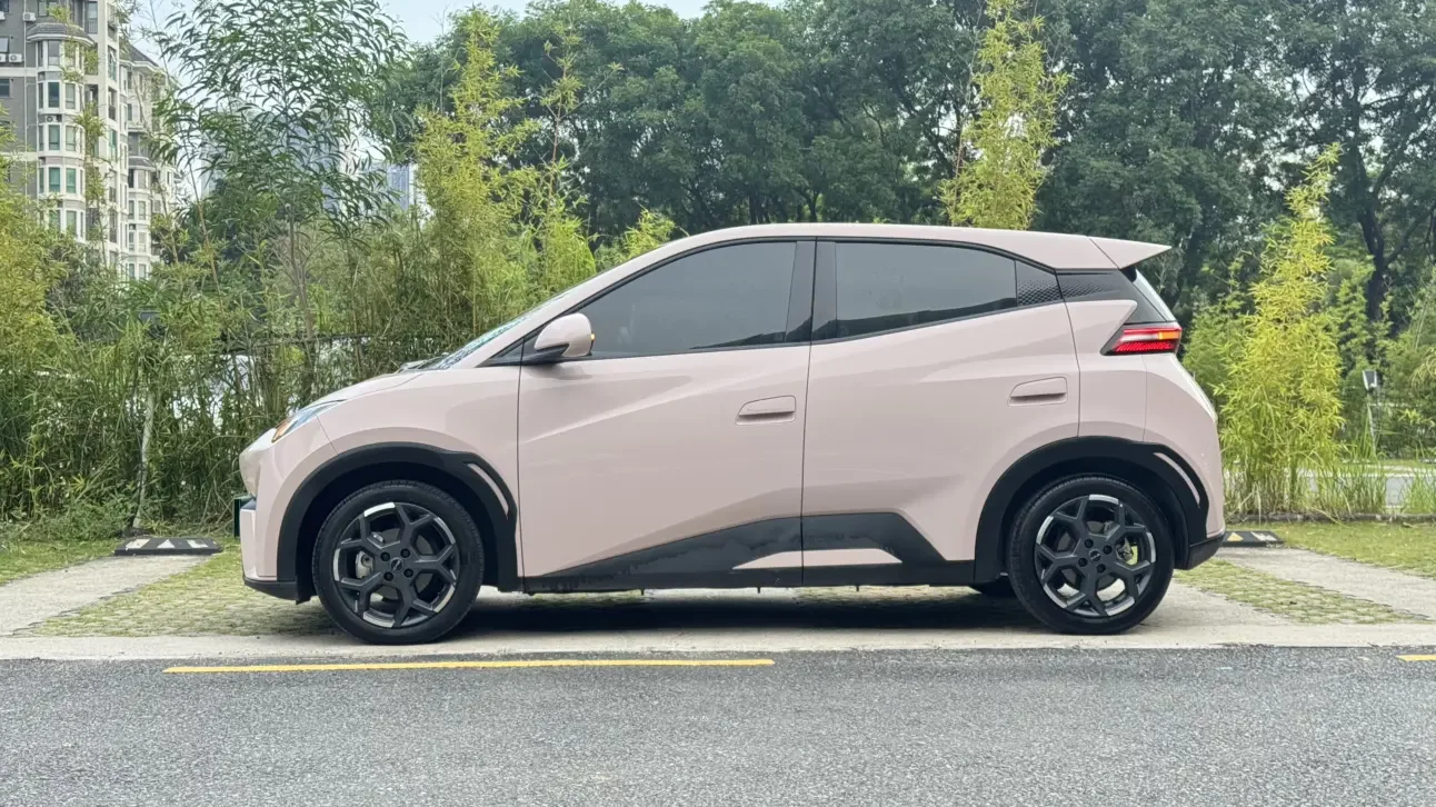 BYD seagull