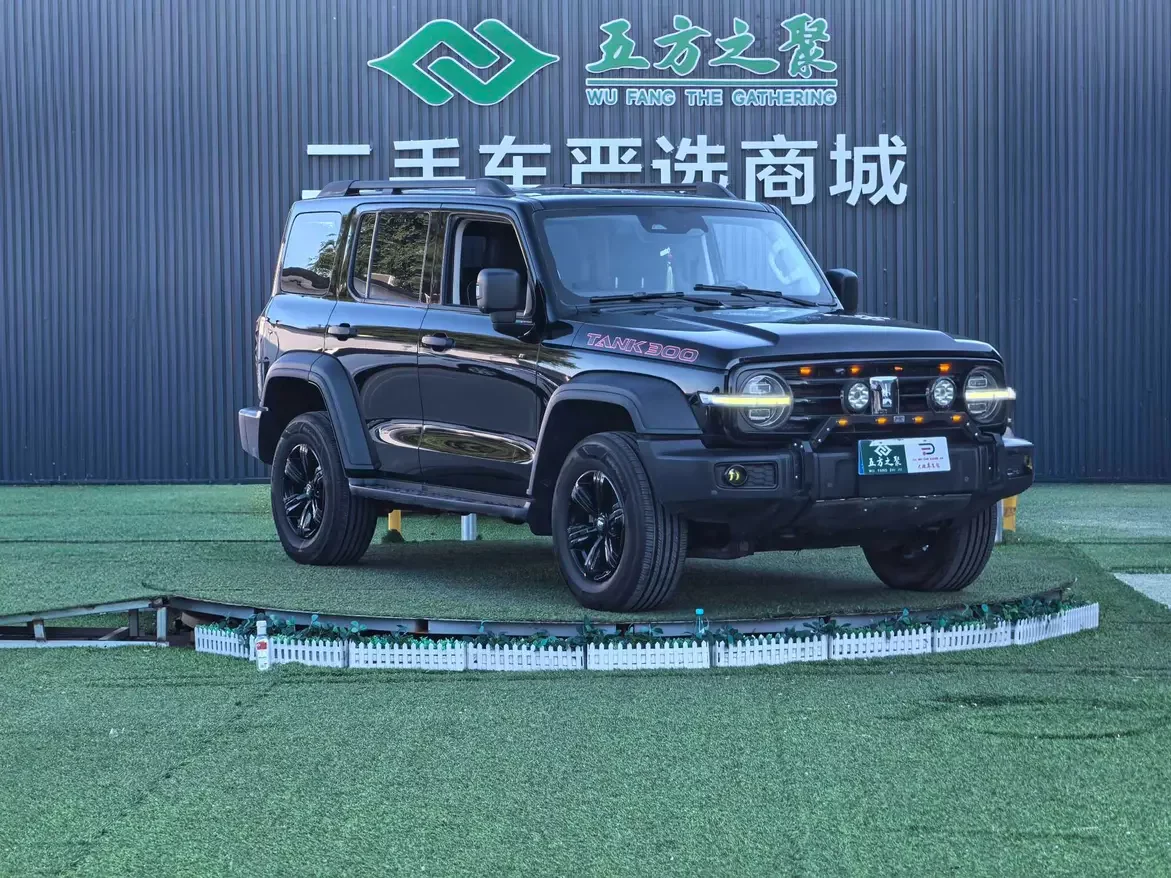 Tank 300