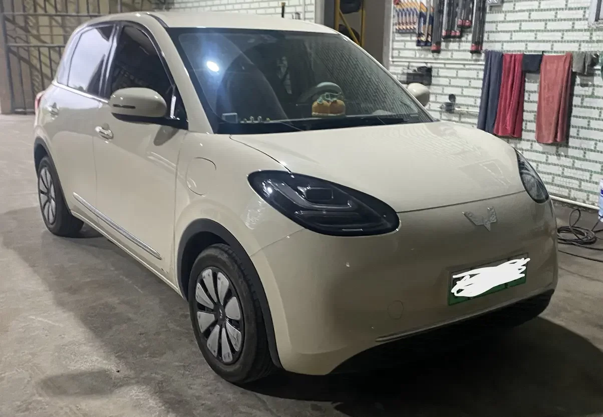 Wuling Bingo