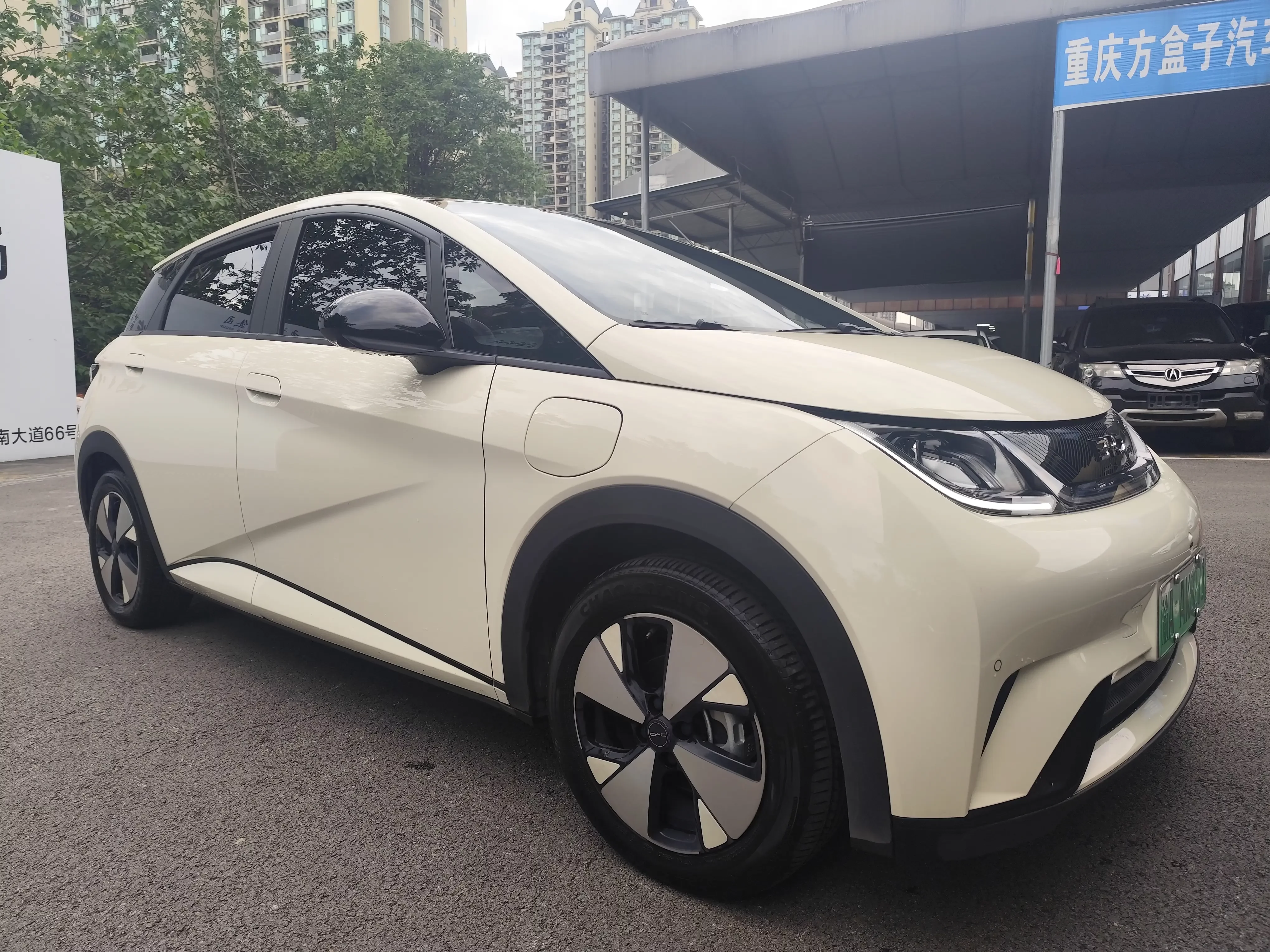 BYD dolphin