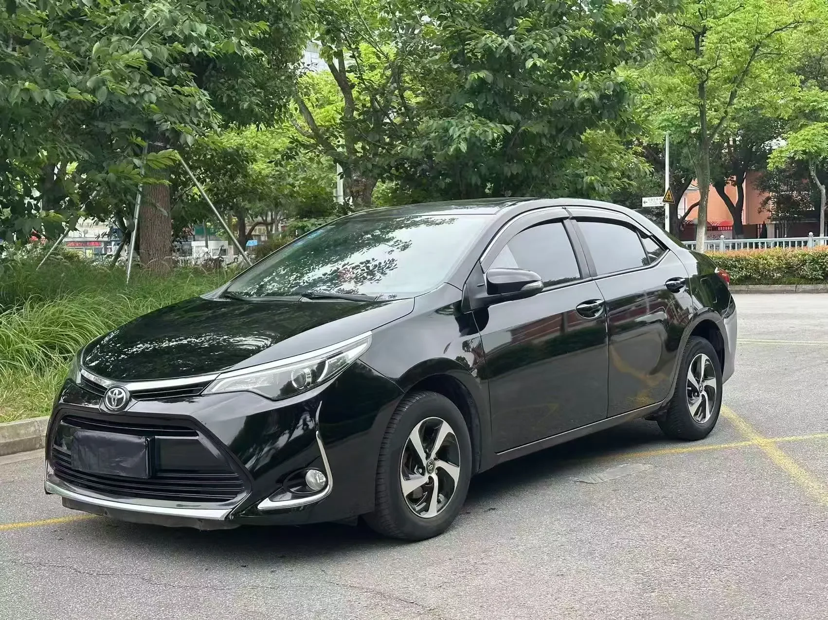 Toyota Levin