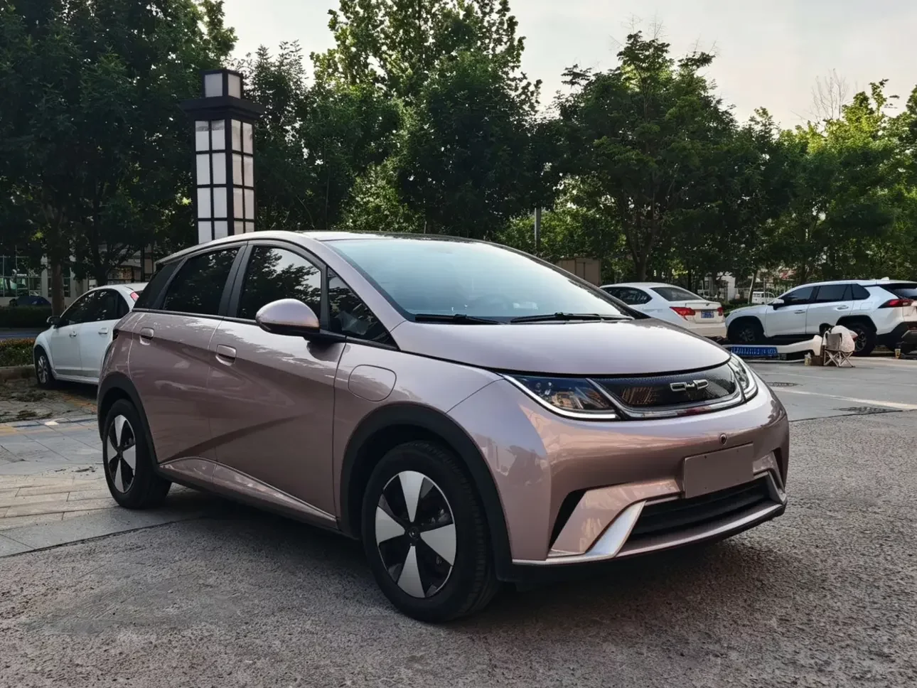 BYD dolphin