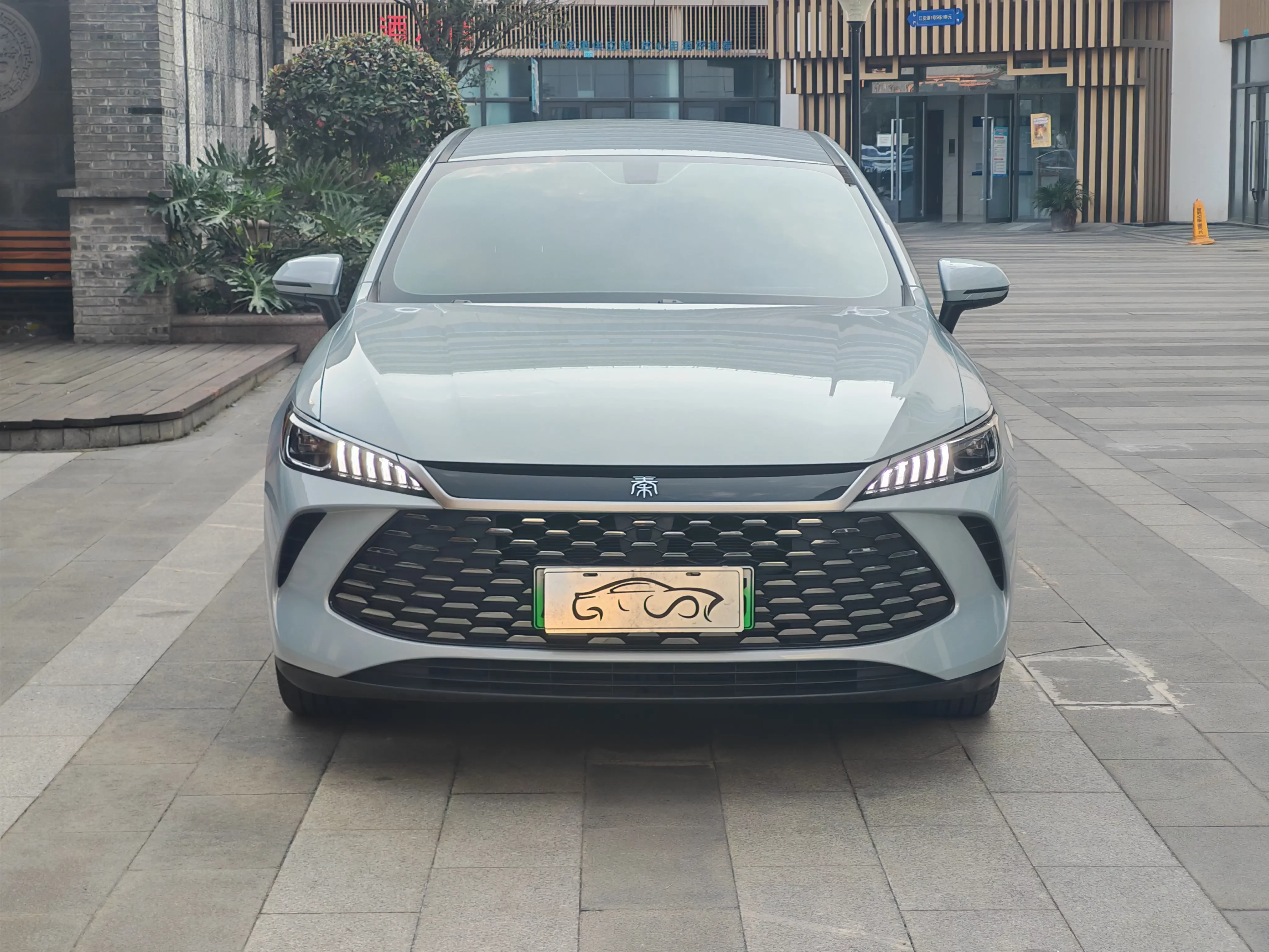 BYD Qin PLUS DM
