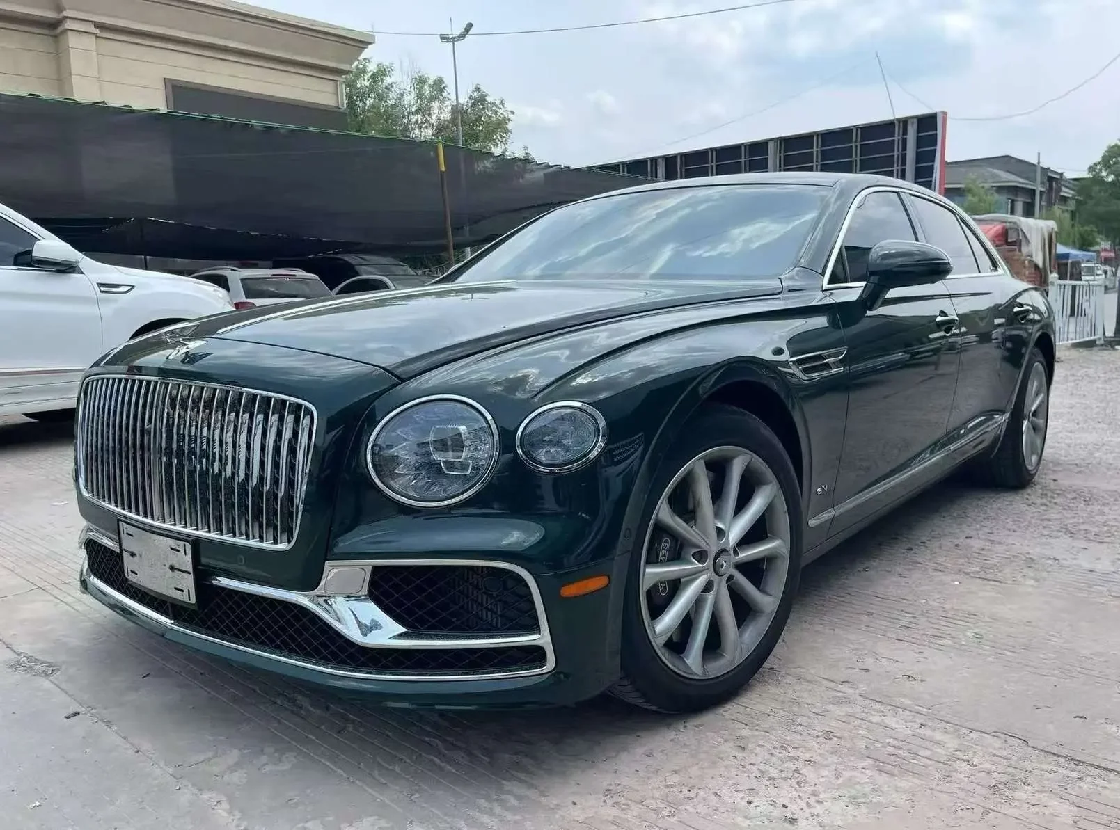Bentley galloping