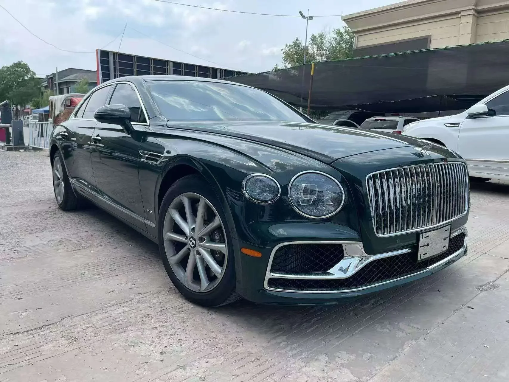 Bentley galloping