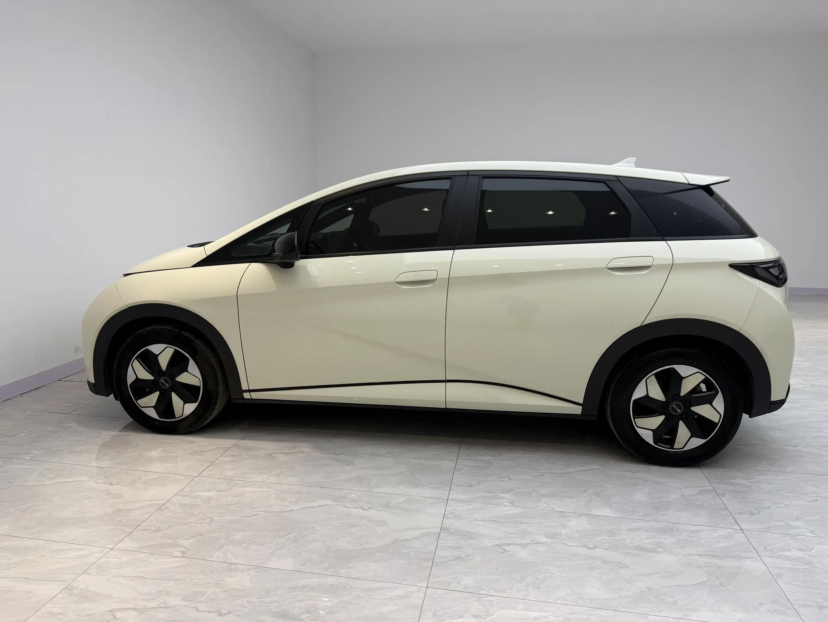 BYD dolphin