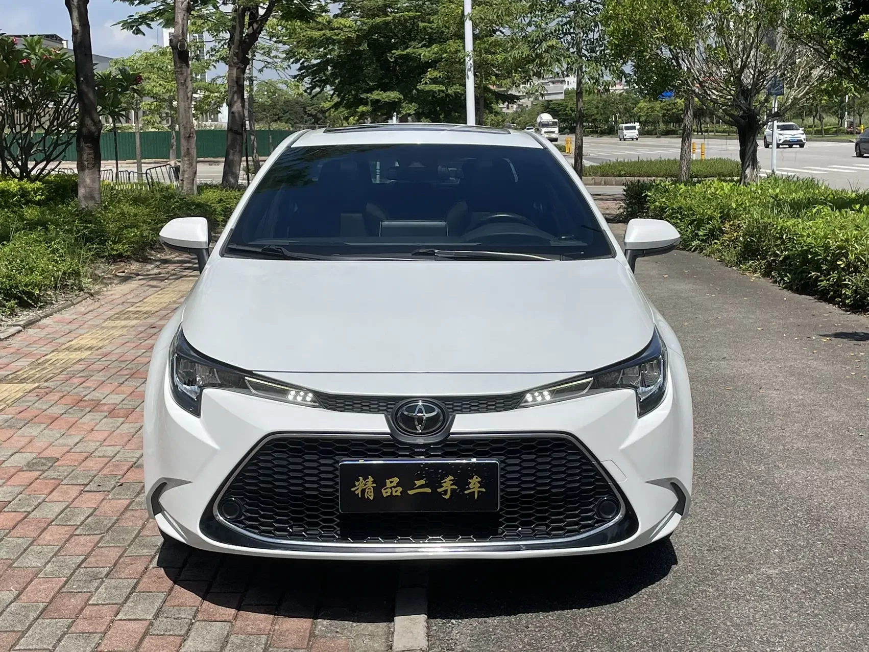 Toyota Levin
