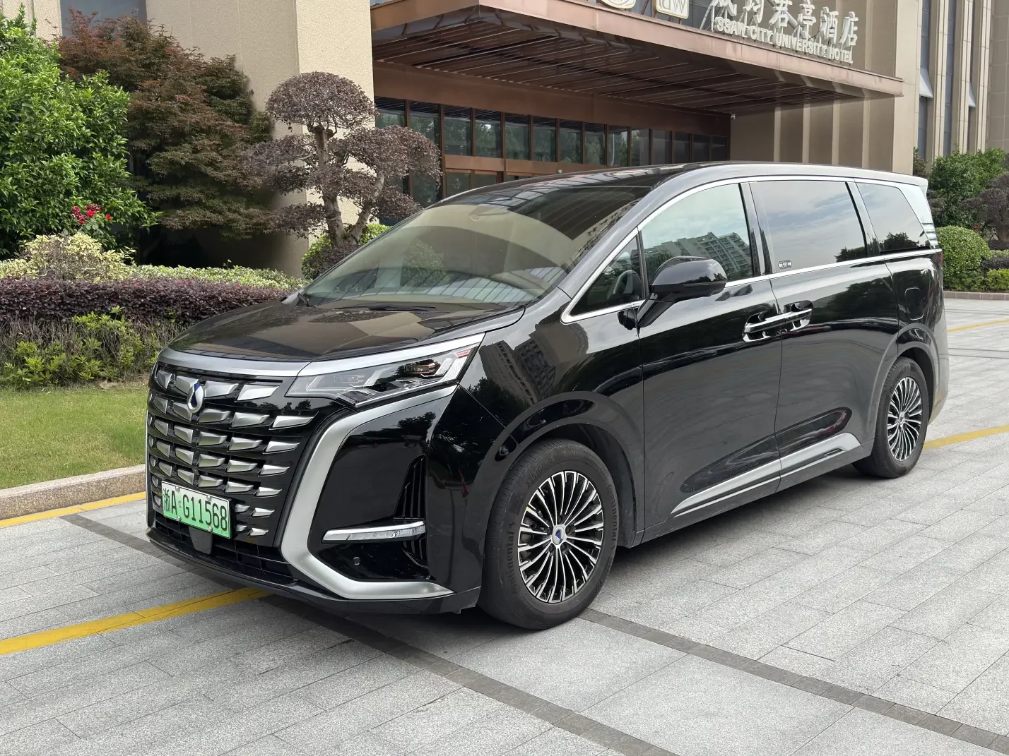 Denza D9 DM