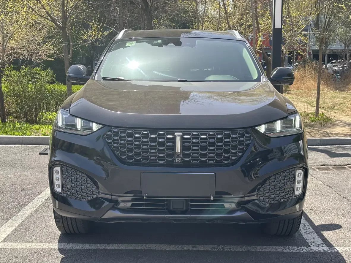 Wey Wei brand VV6