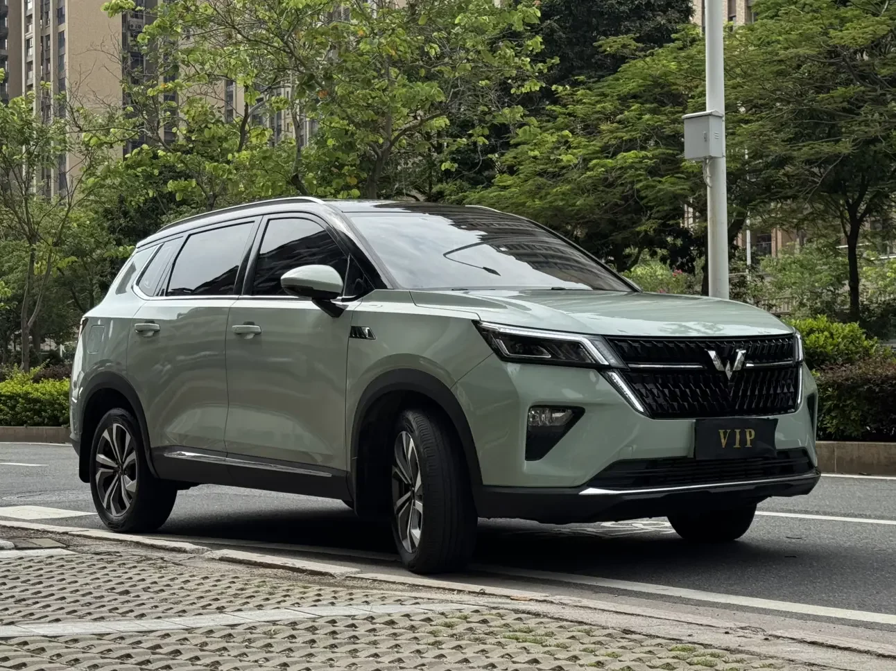 Wuling Star