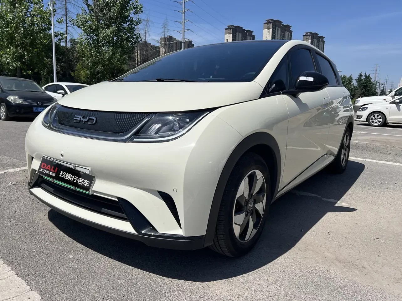 BYD dolphin