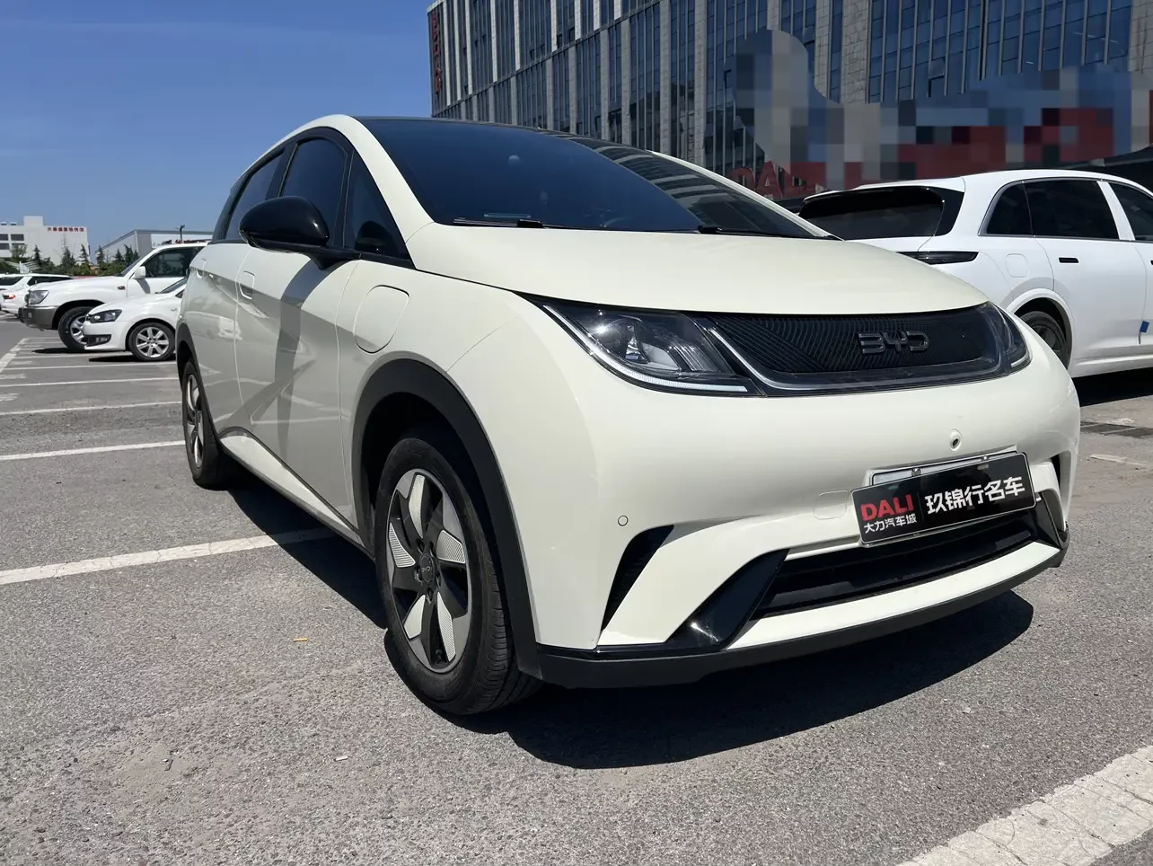 BYD dolphin