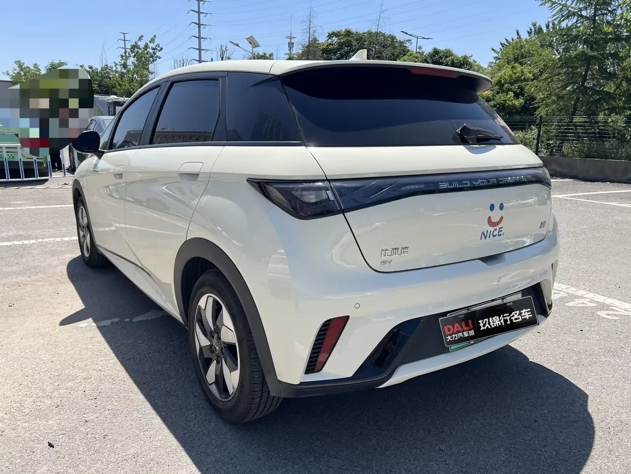 BYD dolphin