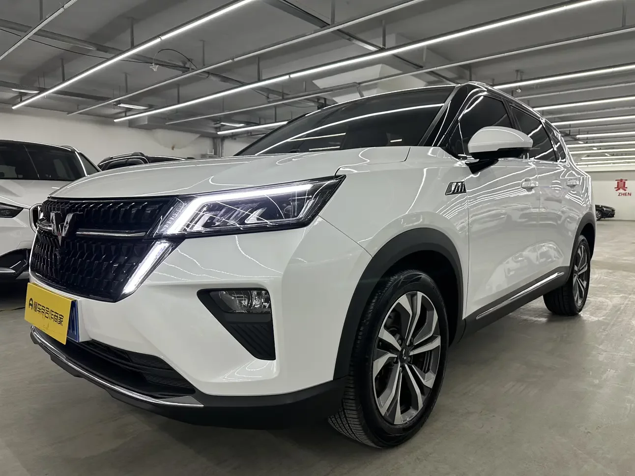 Wuling Star