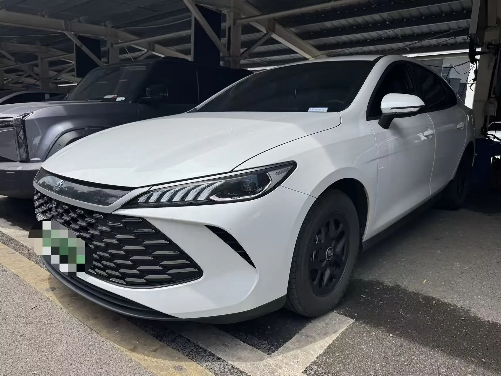 BYD Qin PLUS DM