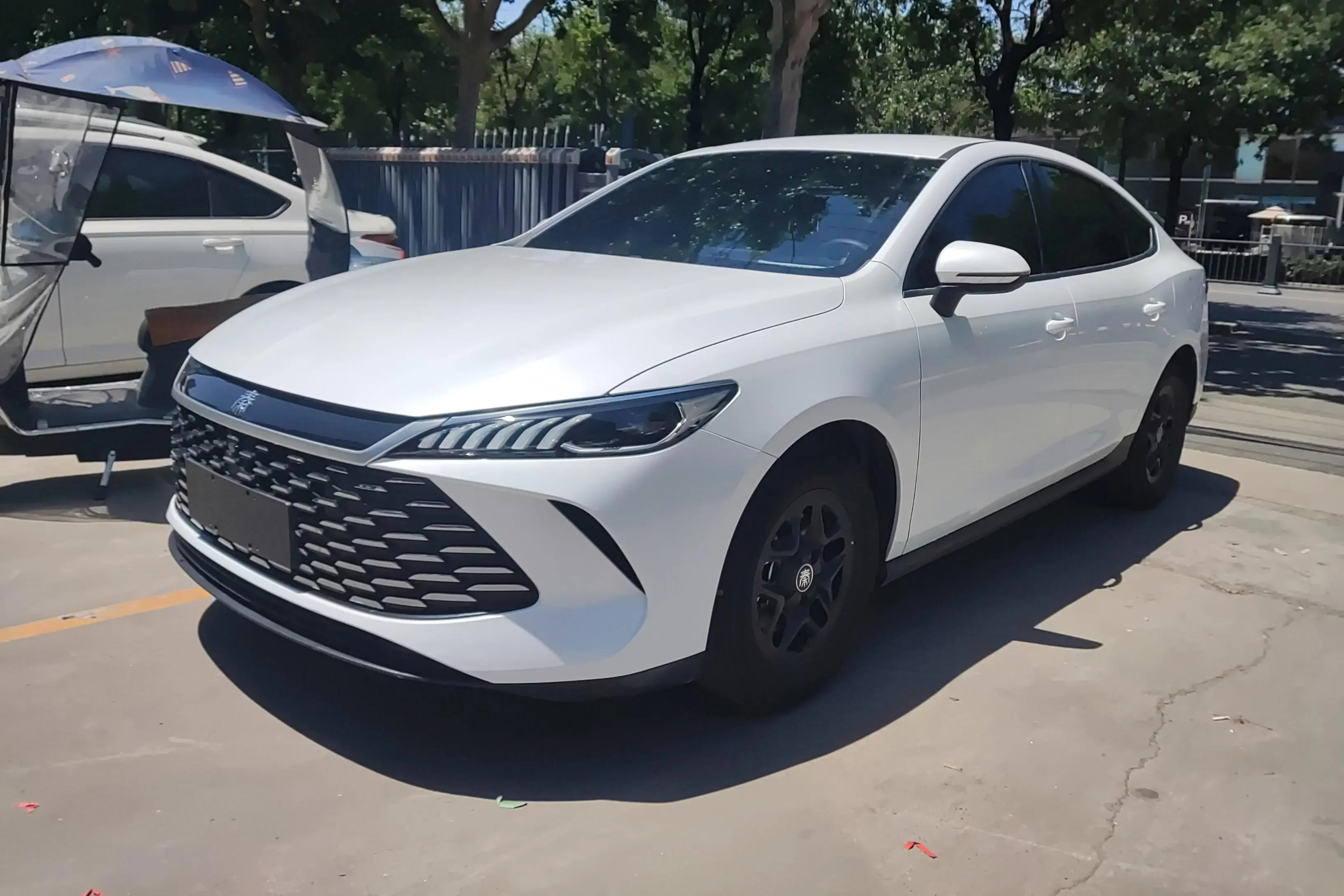 BYD Qin PLUS DM