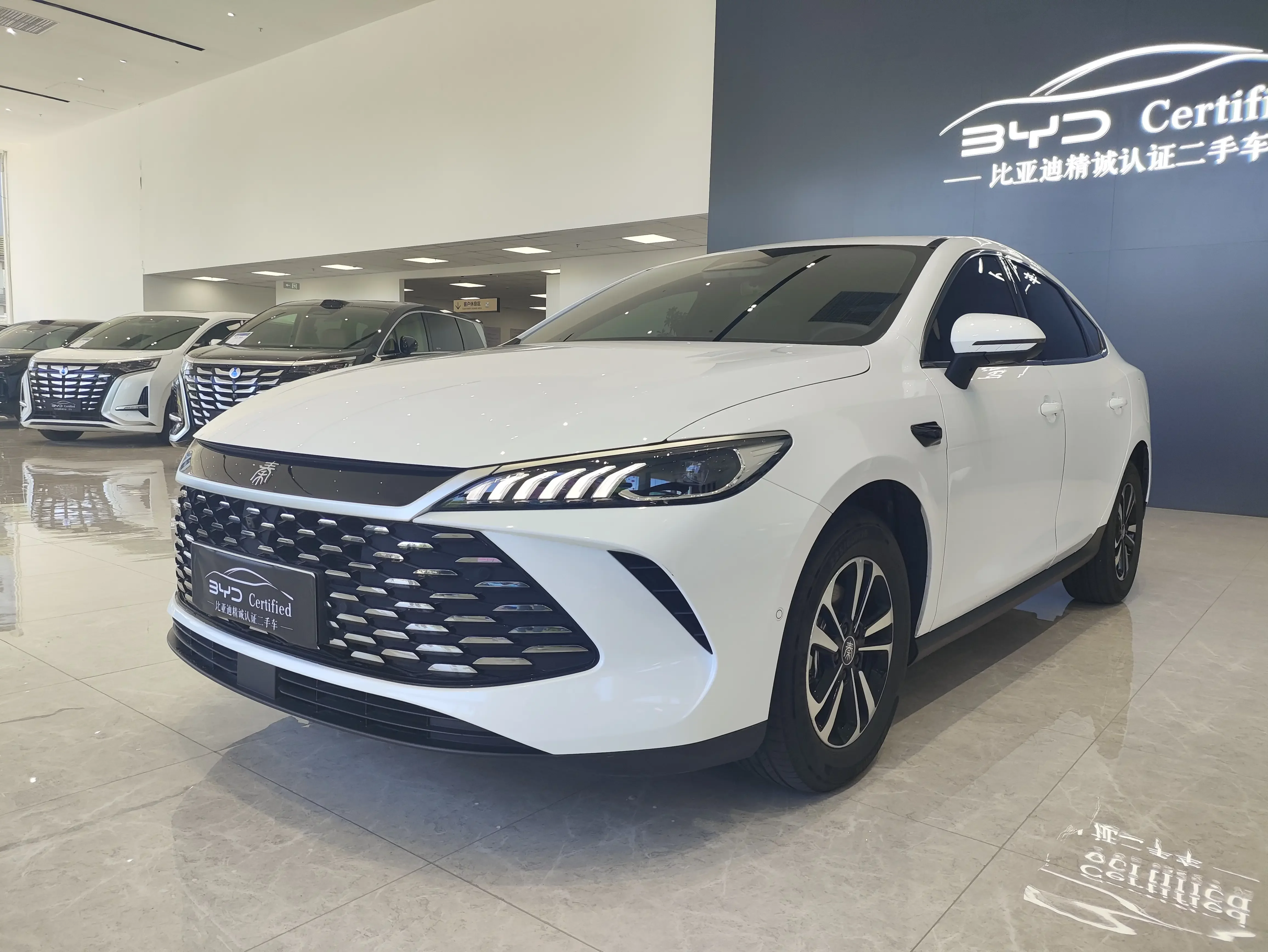 BYD Qin PLUS DM