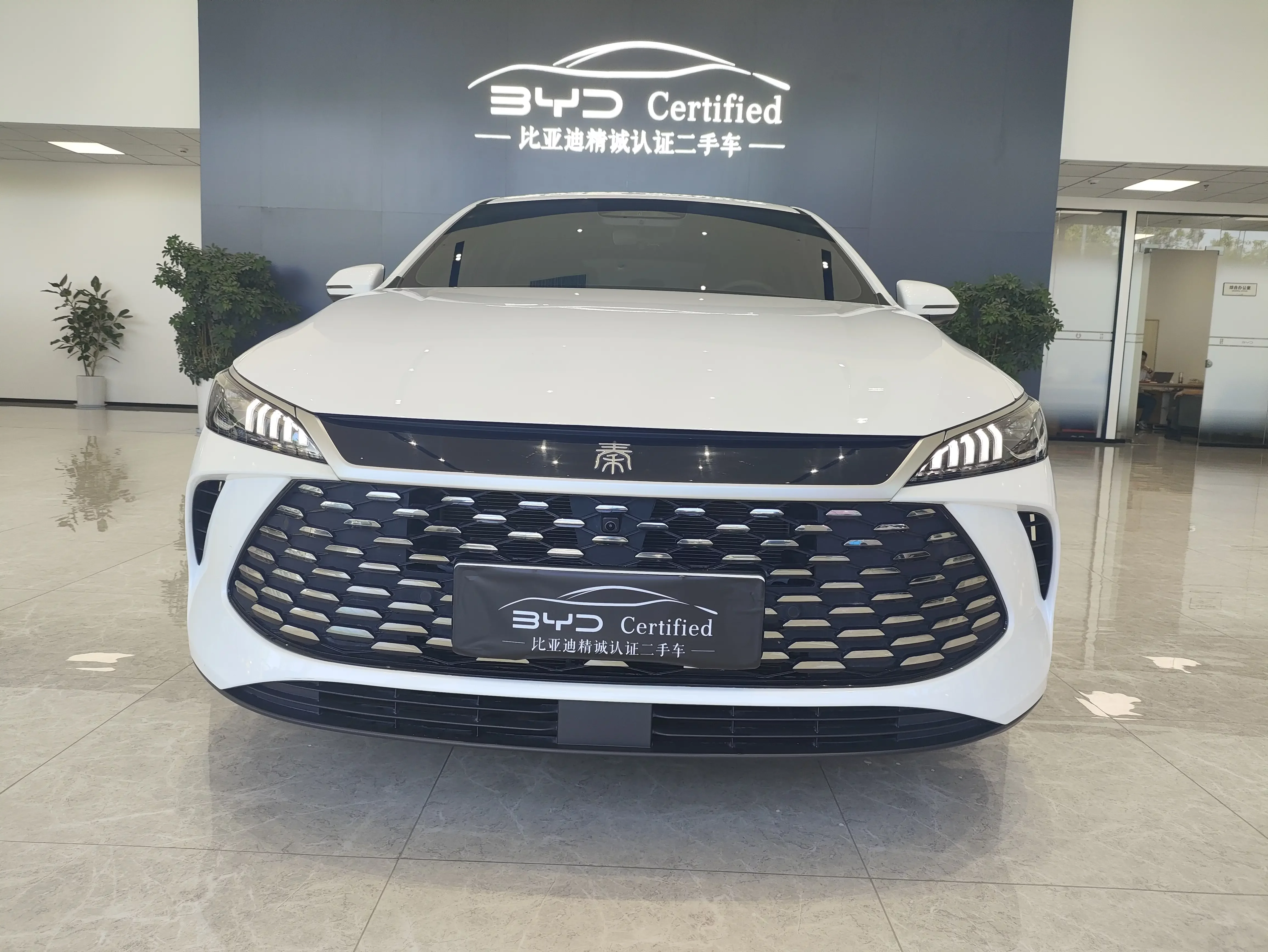 BYD Qin PLUS DM