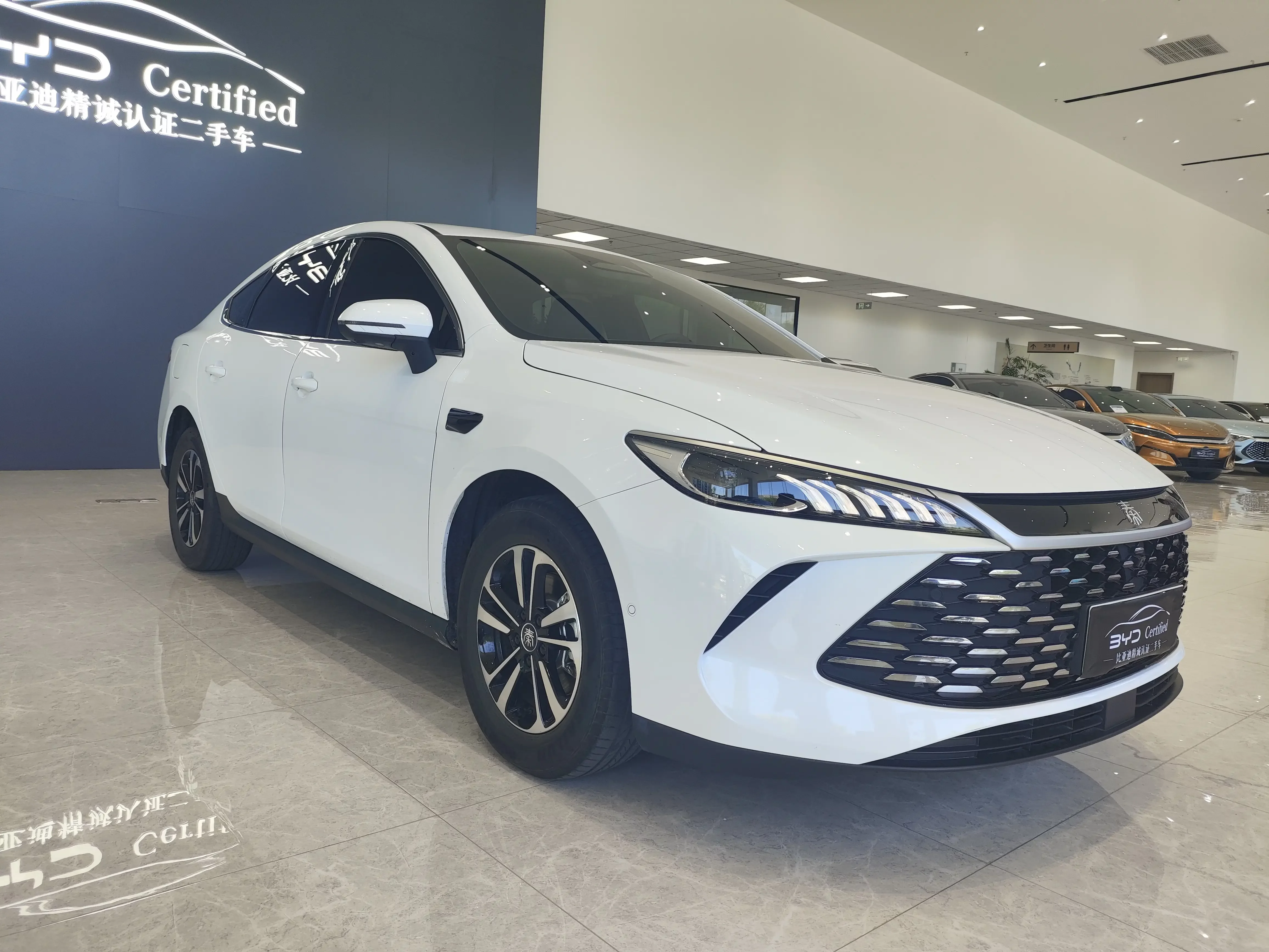 BYD Qin PLUS DM