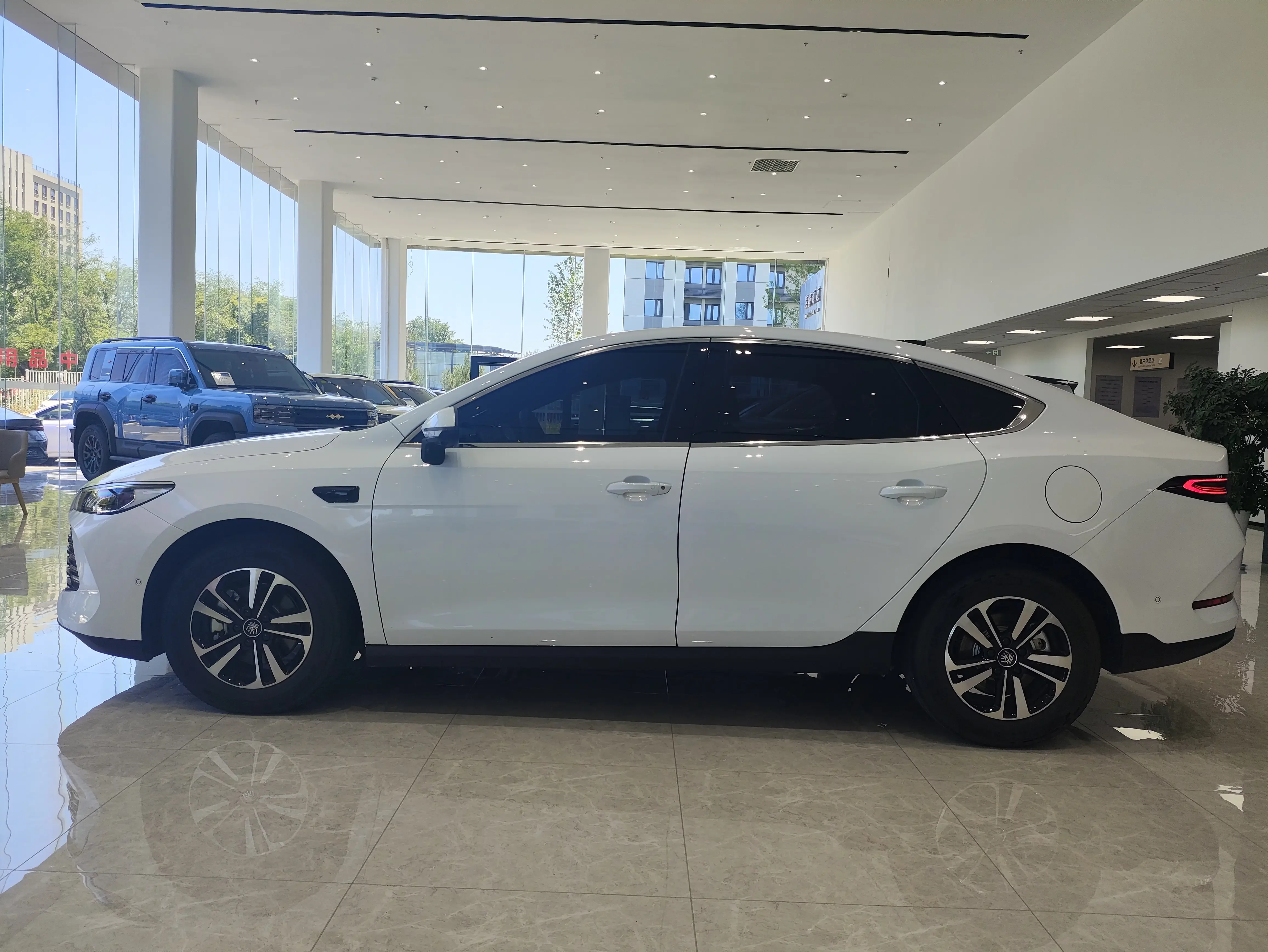 BYD Qin PLUS DM