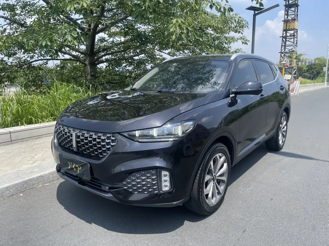 Wey Wei brand VV6