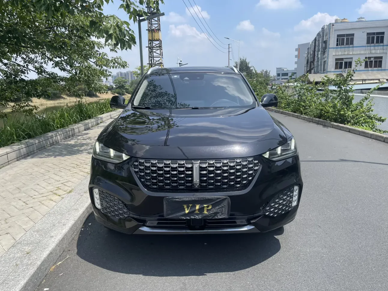 Wey Wei brand VV6