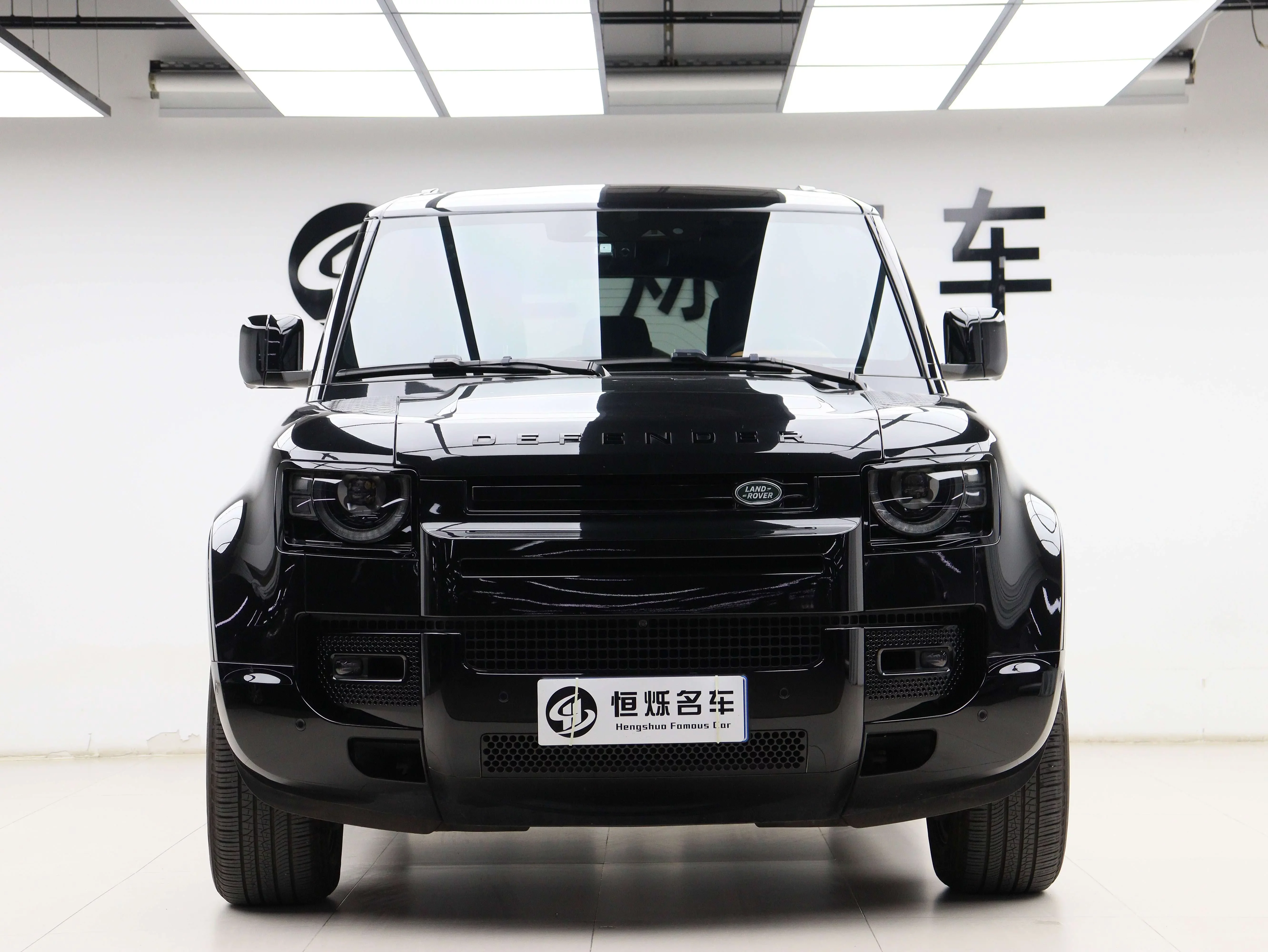 Land Rover guard