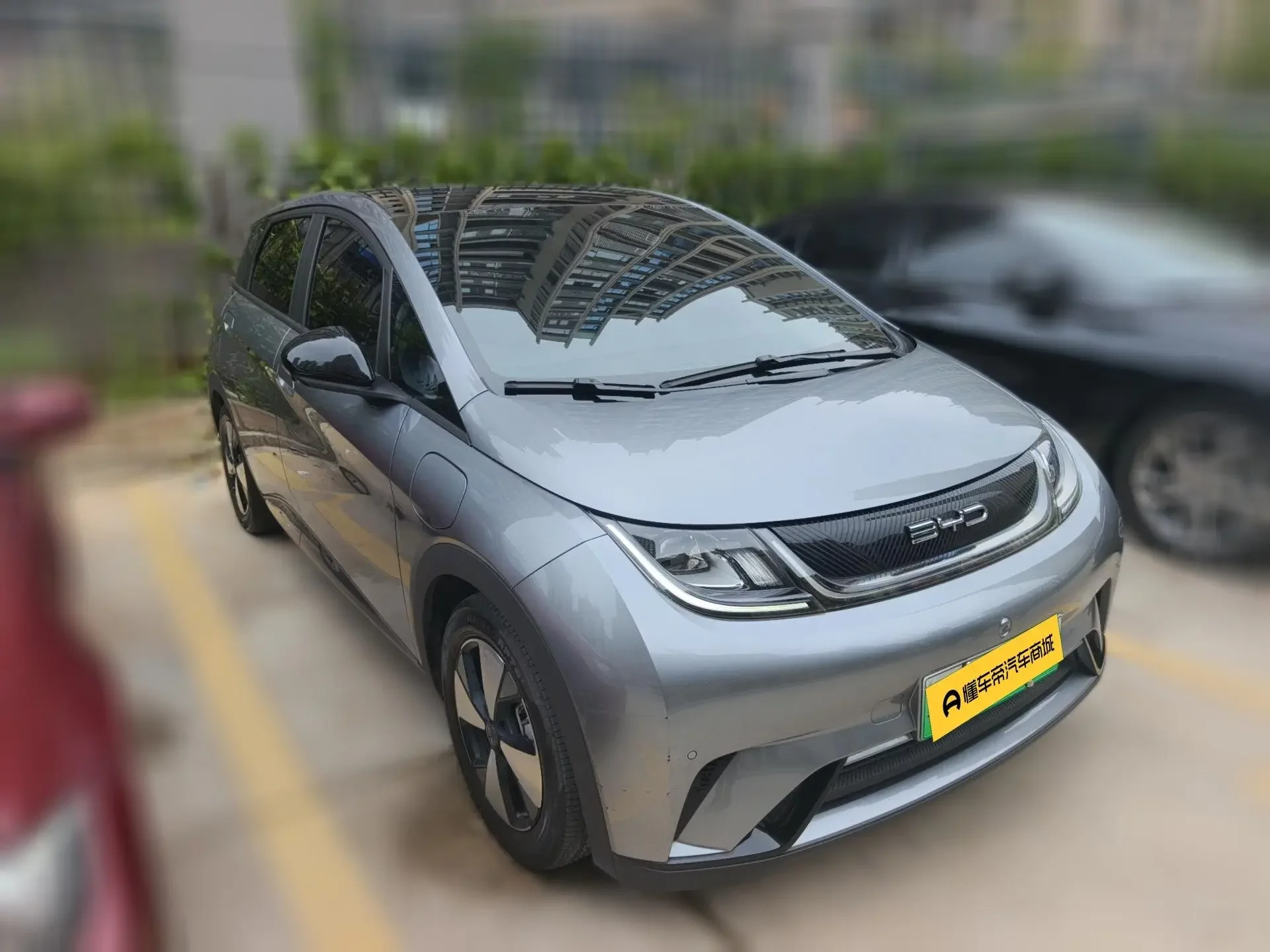 BYD dolphin
