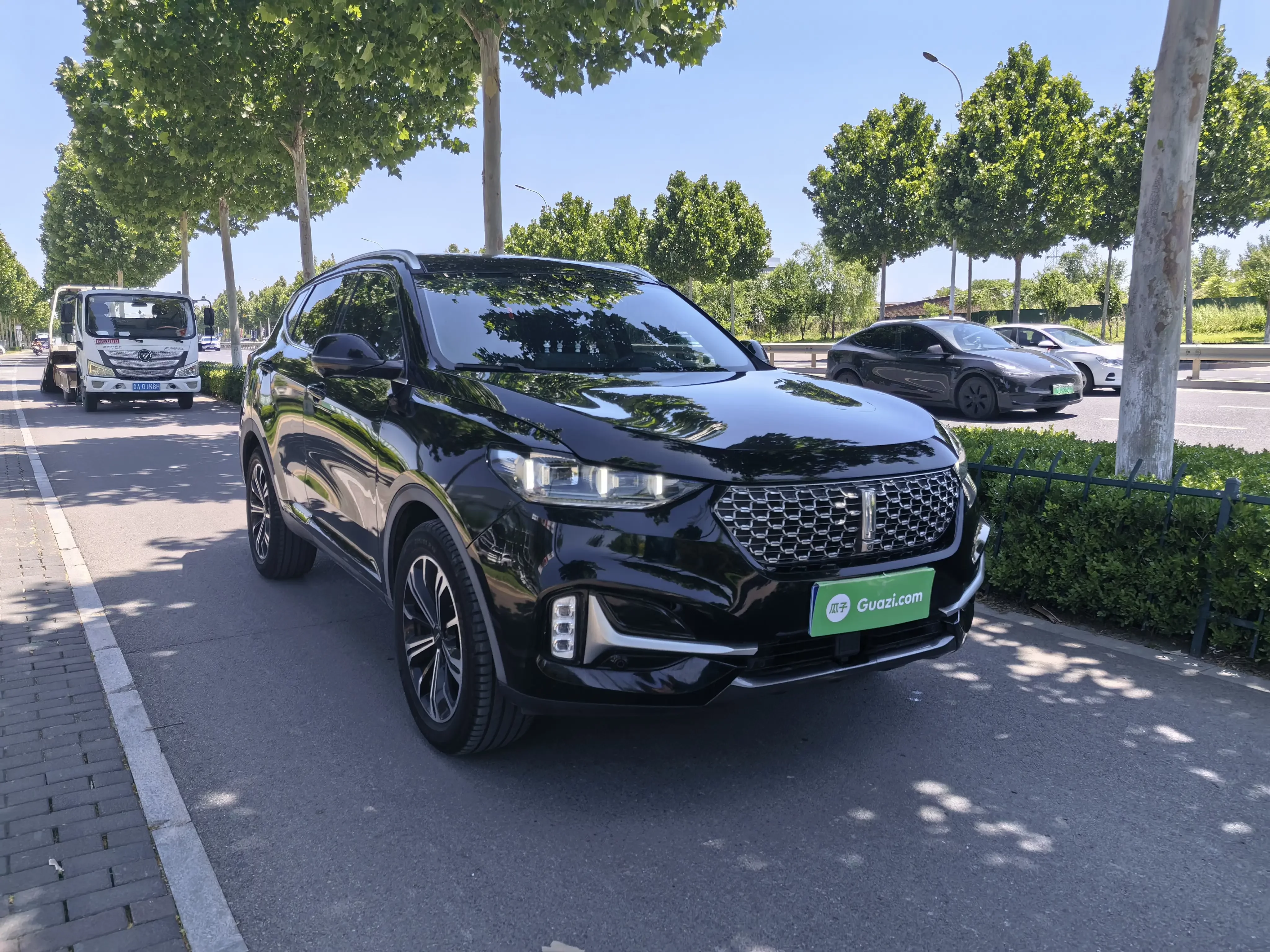 Wey Wei brand VV6