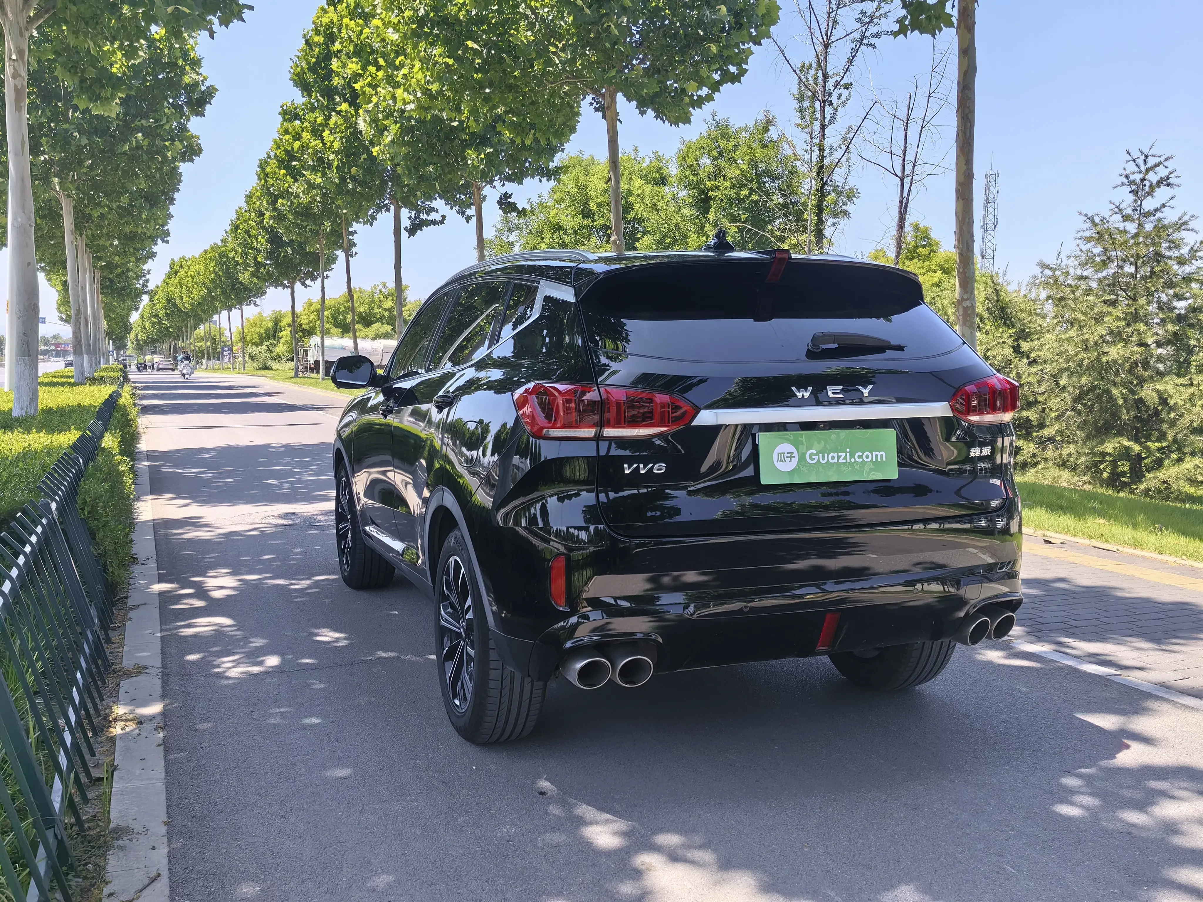 Wey Wei brand VV6