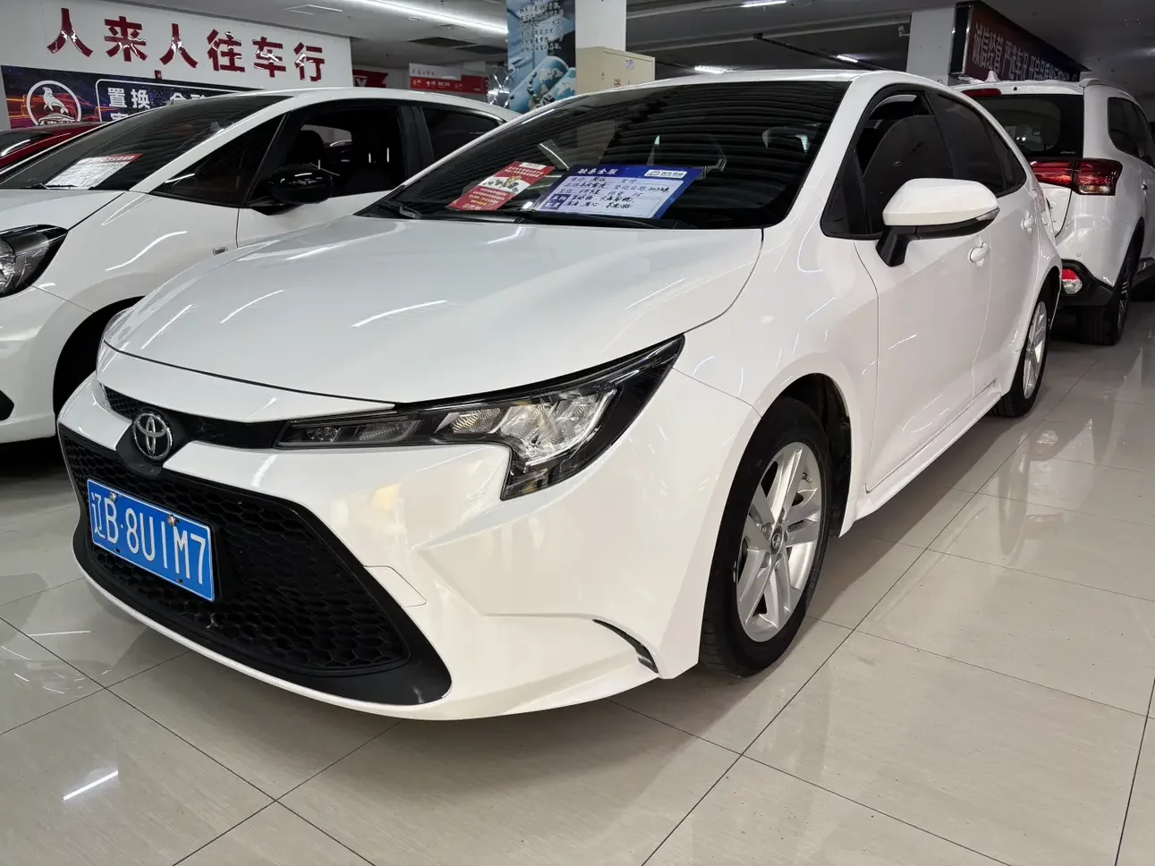 Toyota Levin