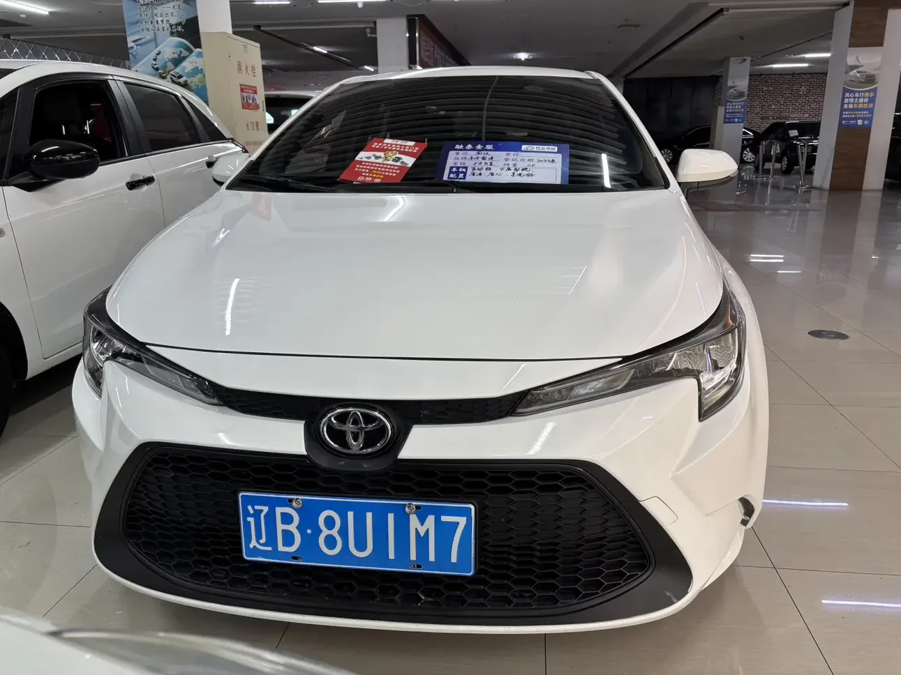 Toyota Levin