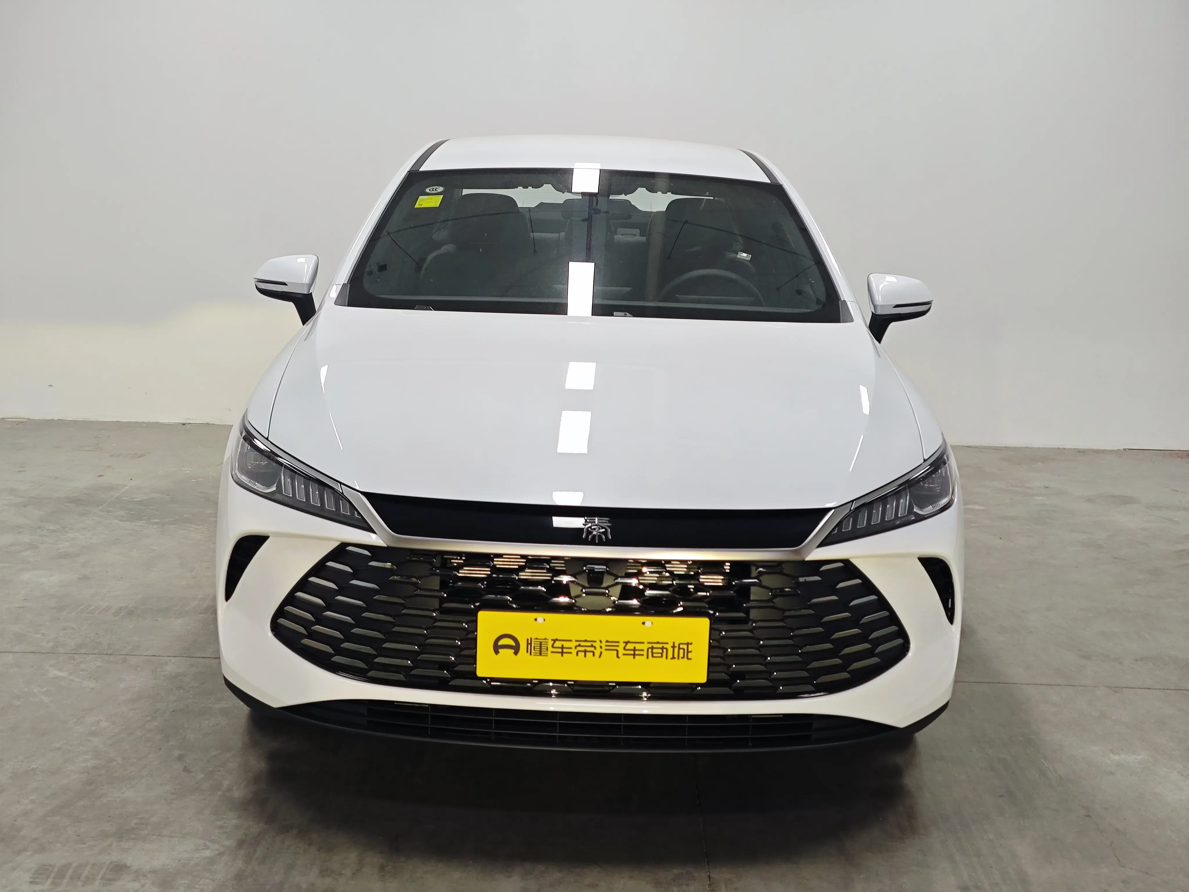 BYD Qin PLUS DM