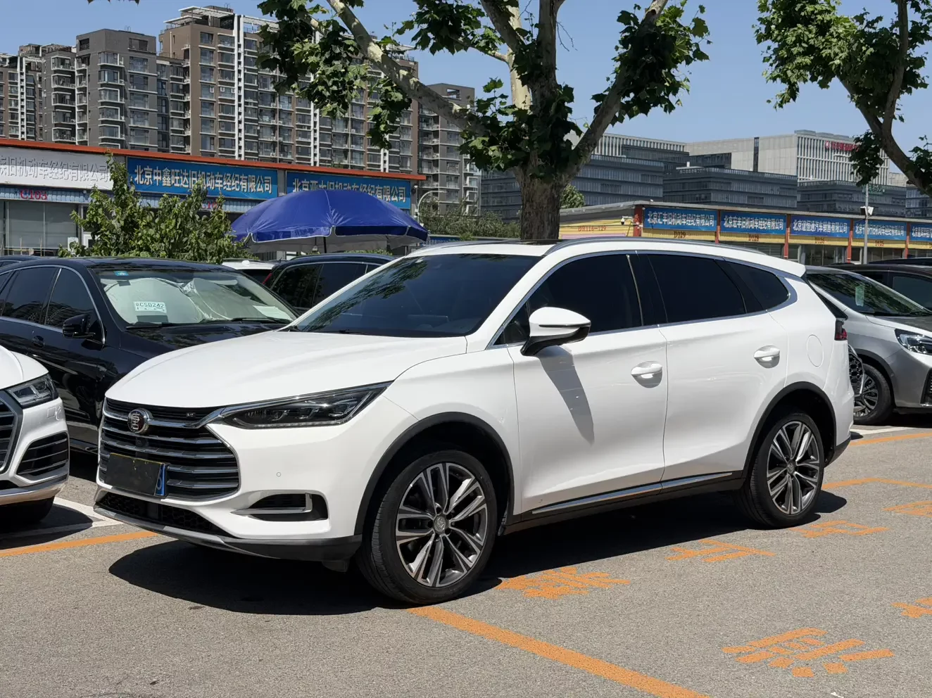 BYD Tang
