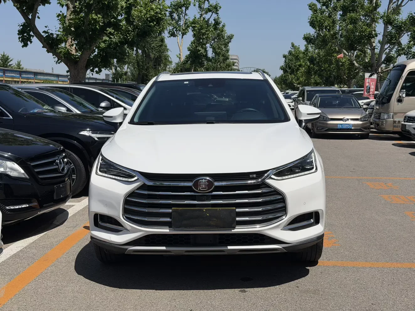 BYD Tang