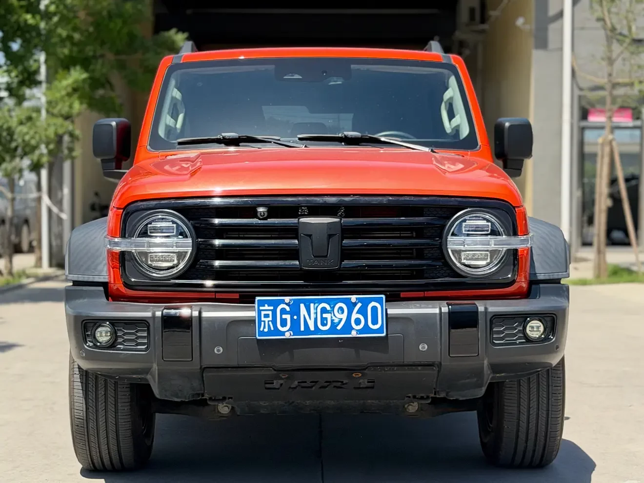 Tank 300